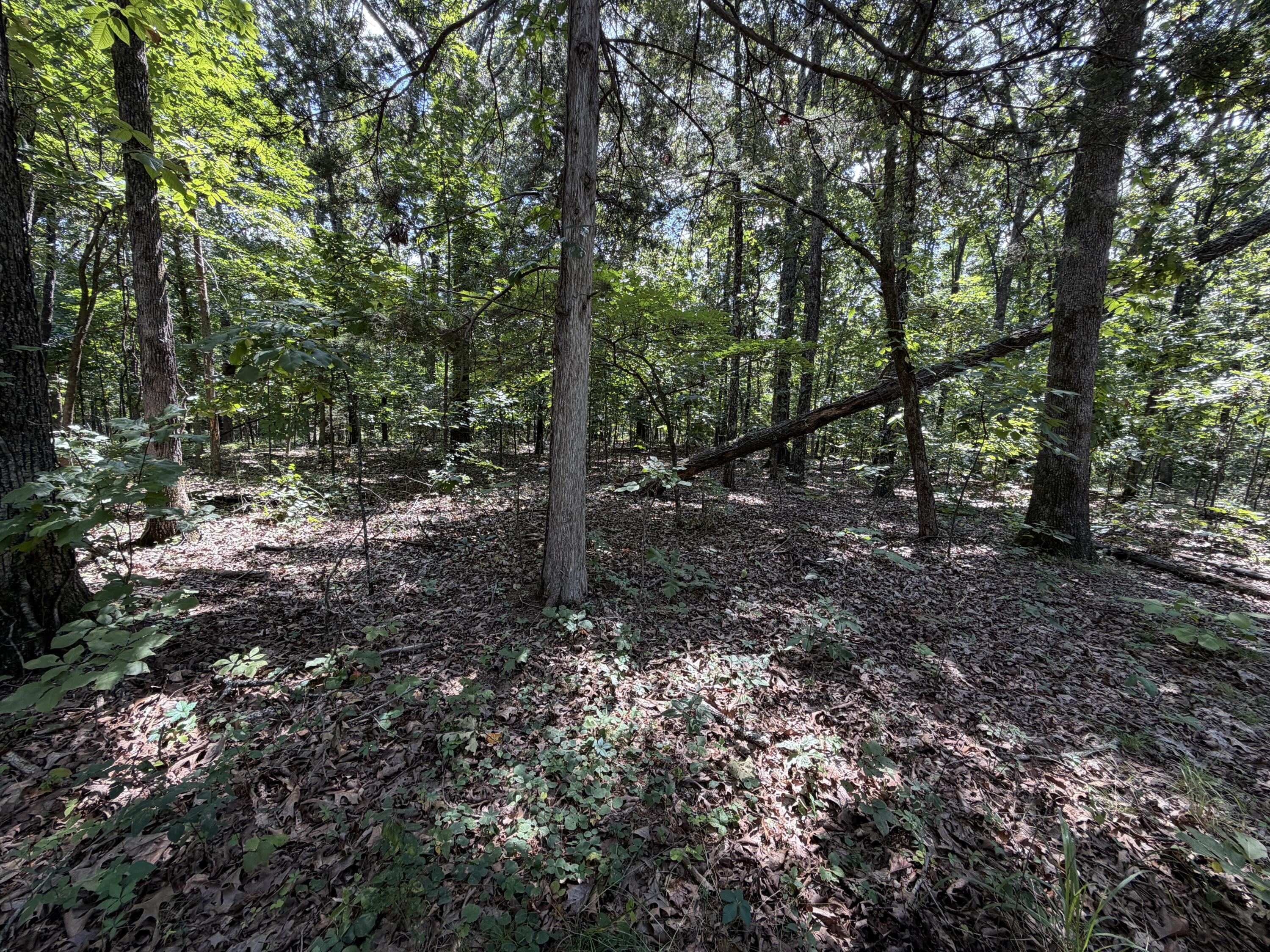 1767 Ff Highway Property Photo 130