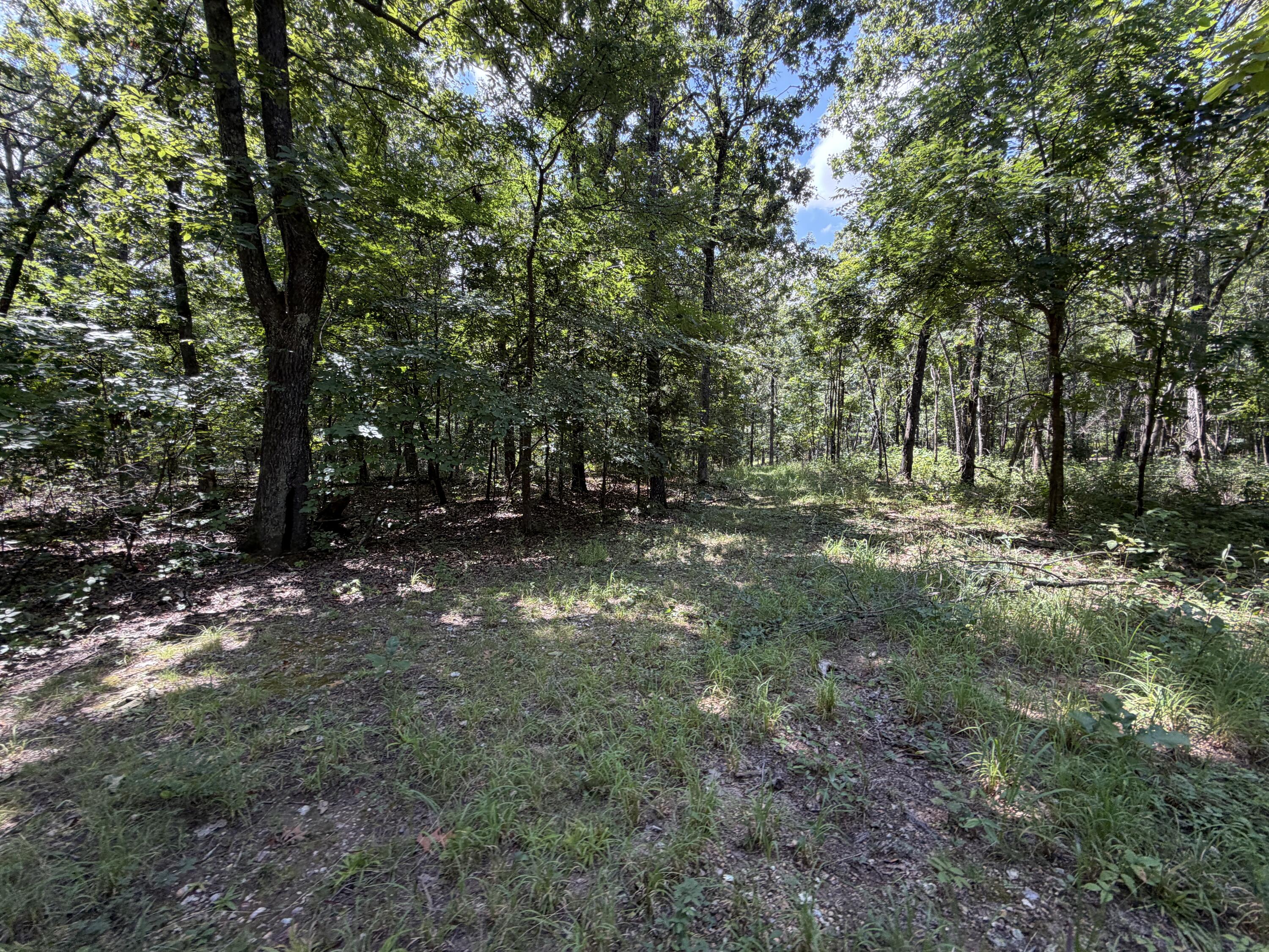 1767 Ff Highway Property Photo 131
