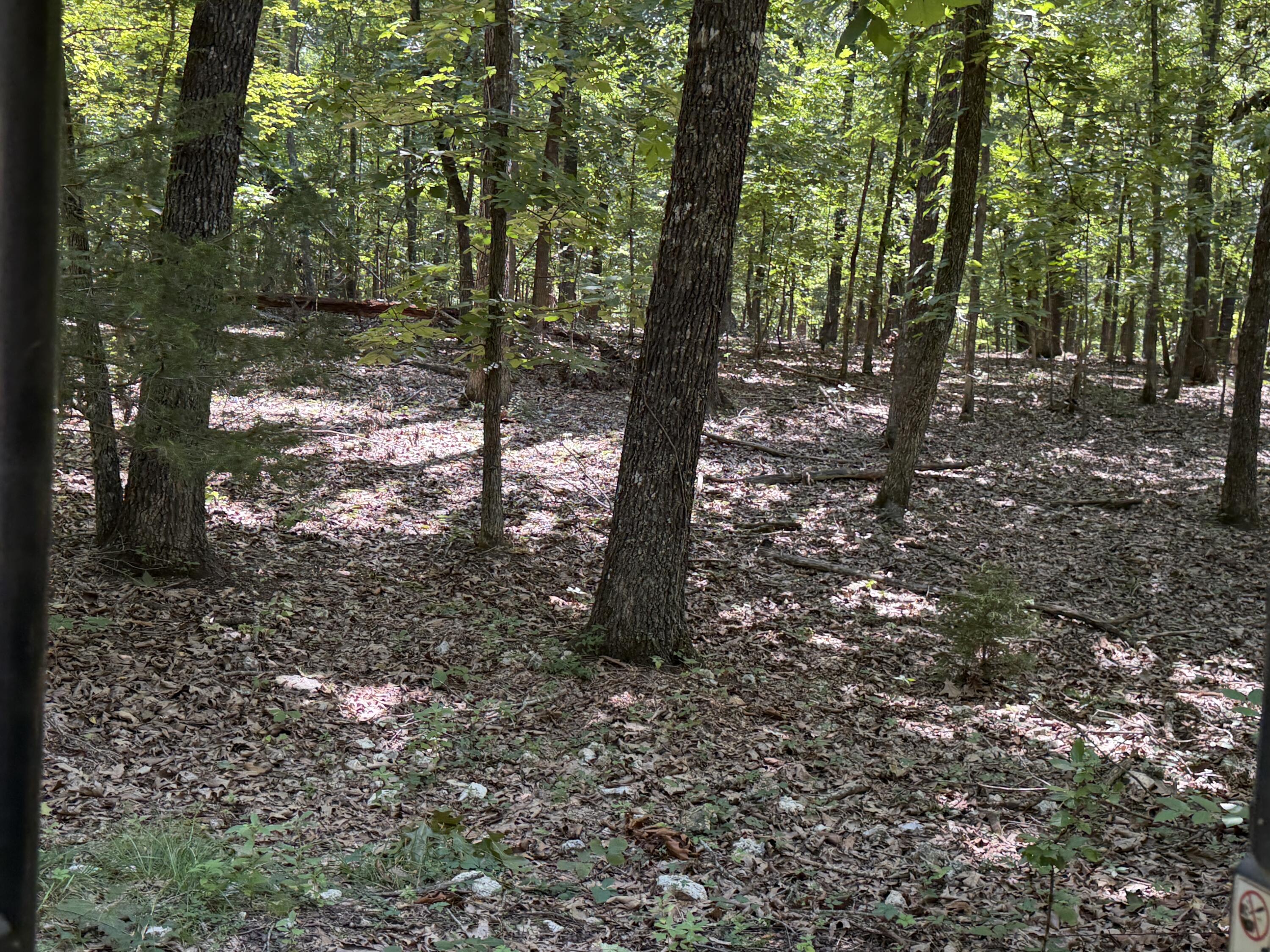 1767 Ff Highway Property Photo 132