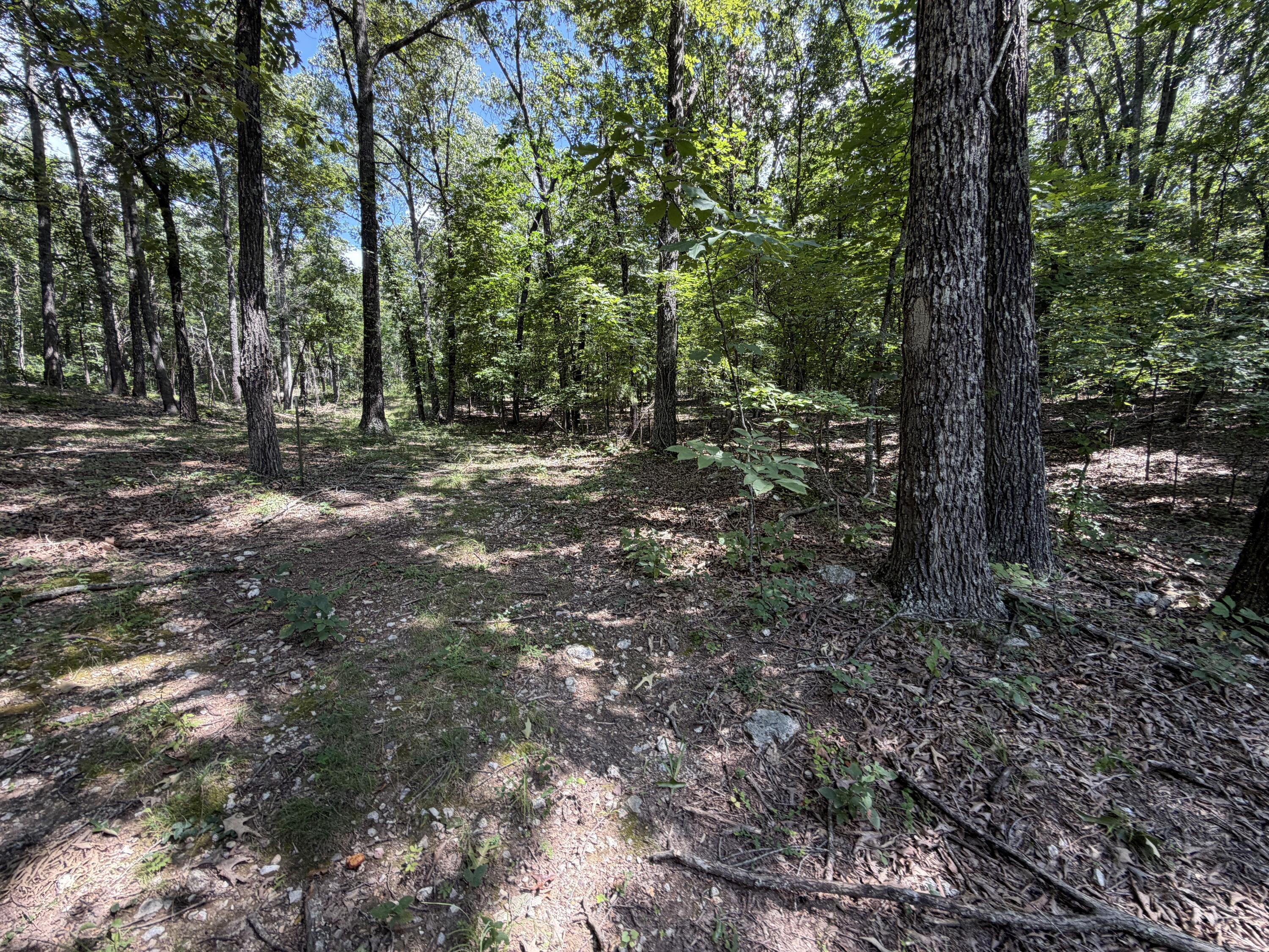 1767 Ff Highway Property Photo 133