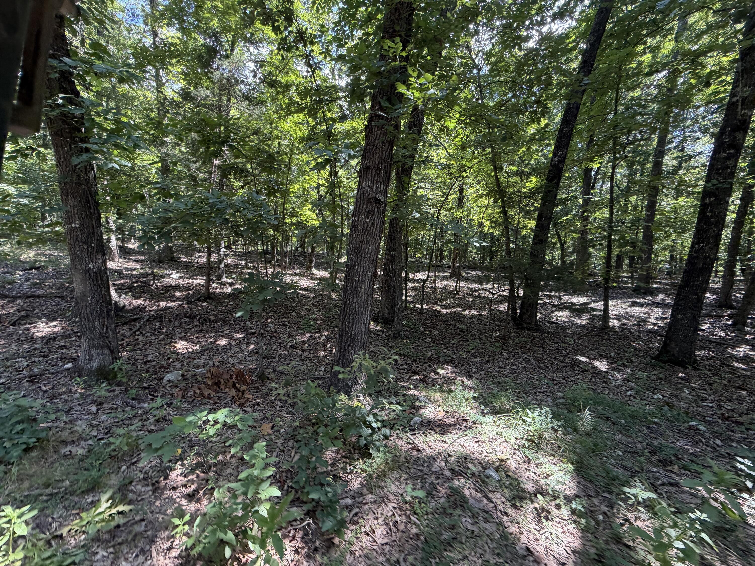 1767 Ff Highway Property Photo 134