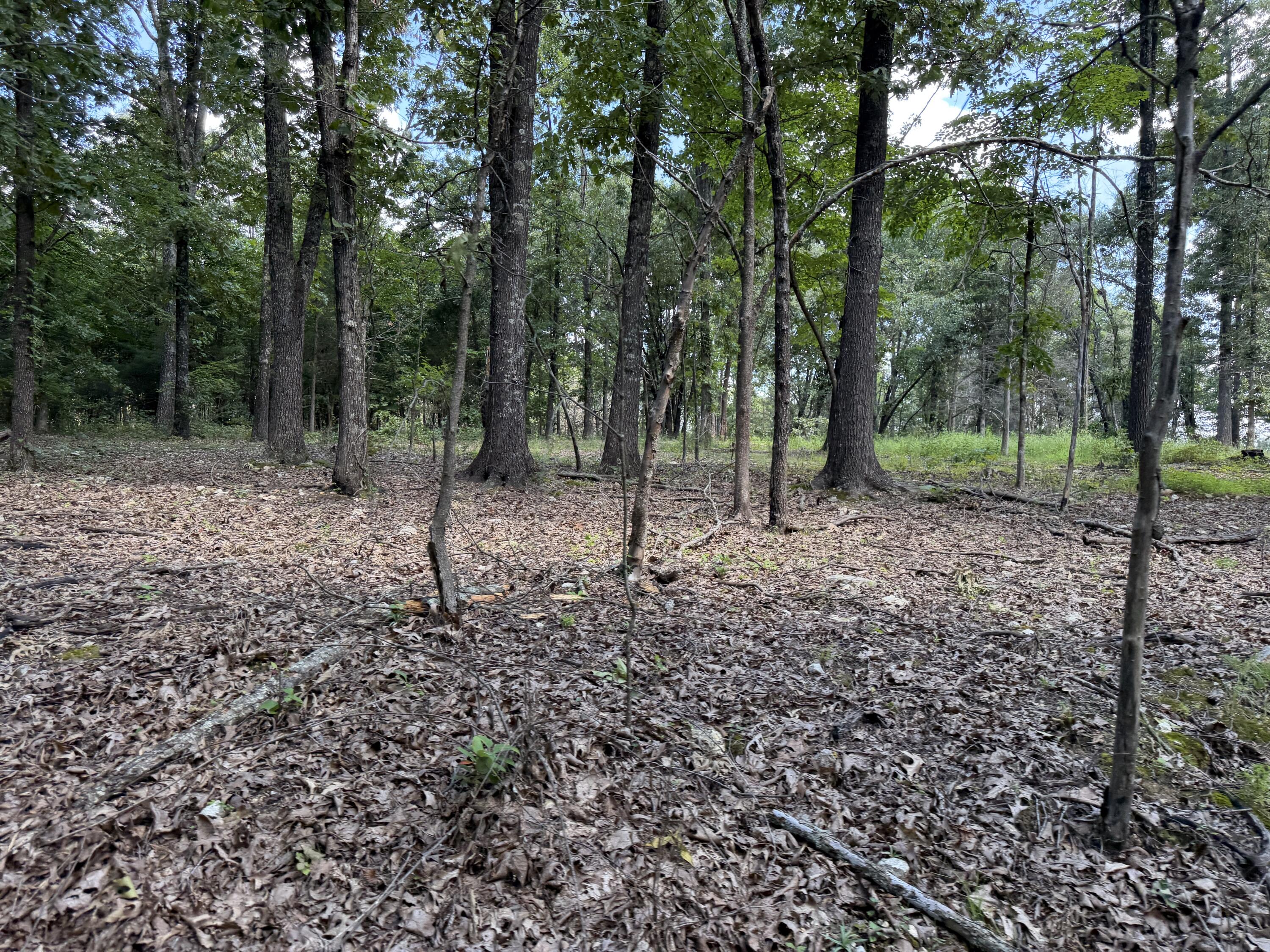 1767 Ff Highway Property Photo 135