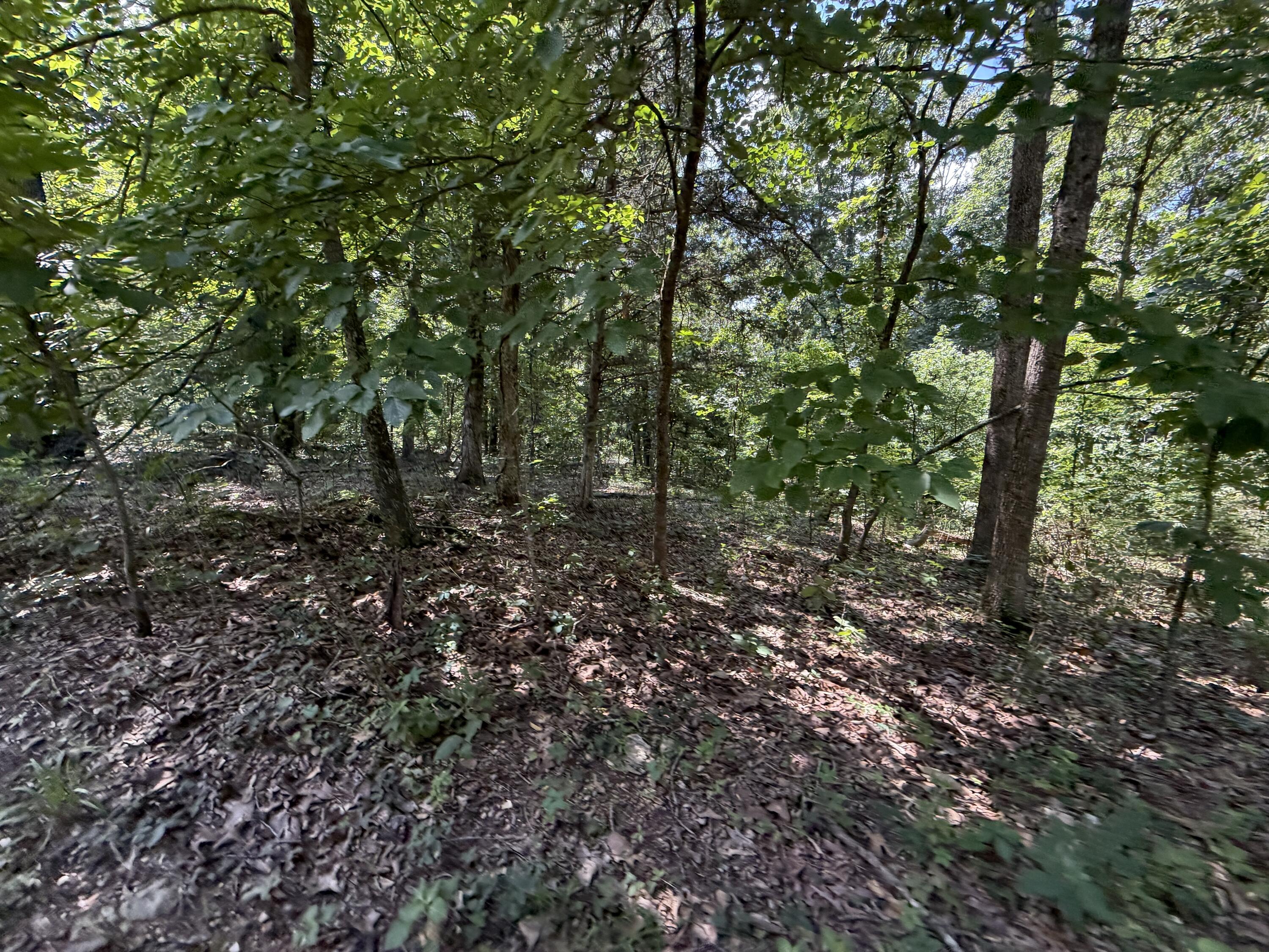 1767 Ff Highway Property Photo 136