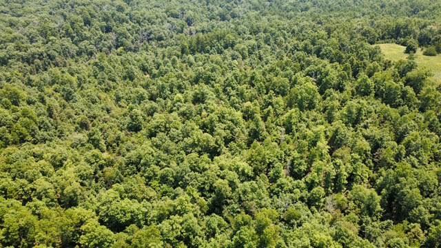 000 County Road 434 Property Photo 3