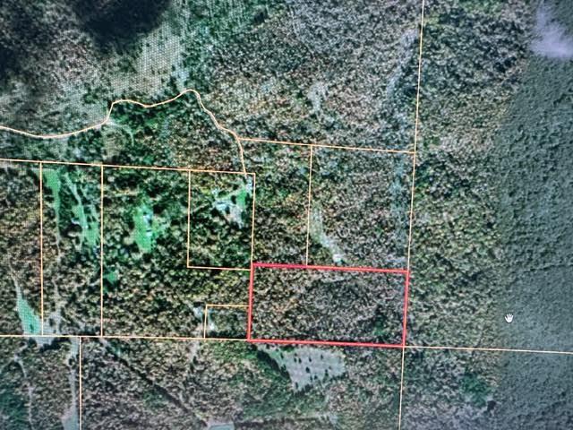 000 County Road 434 Property Photo 1