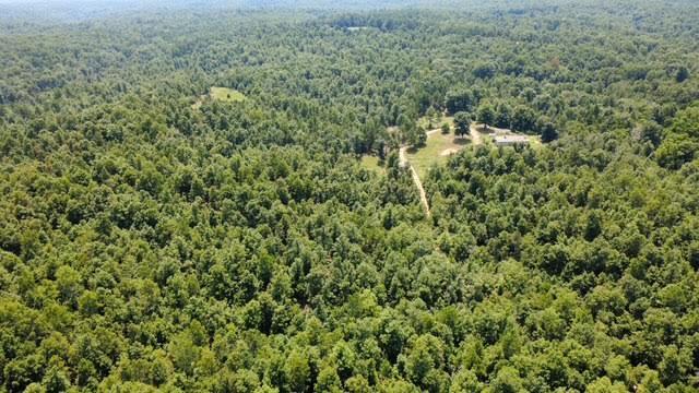 000 County Road 434 Property Photo 6