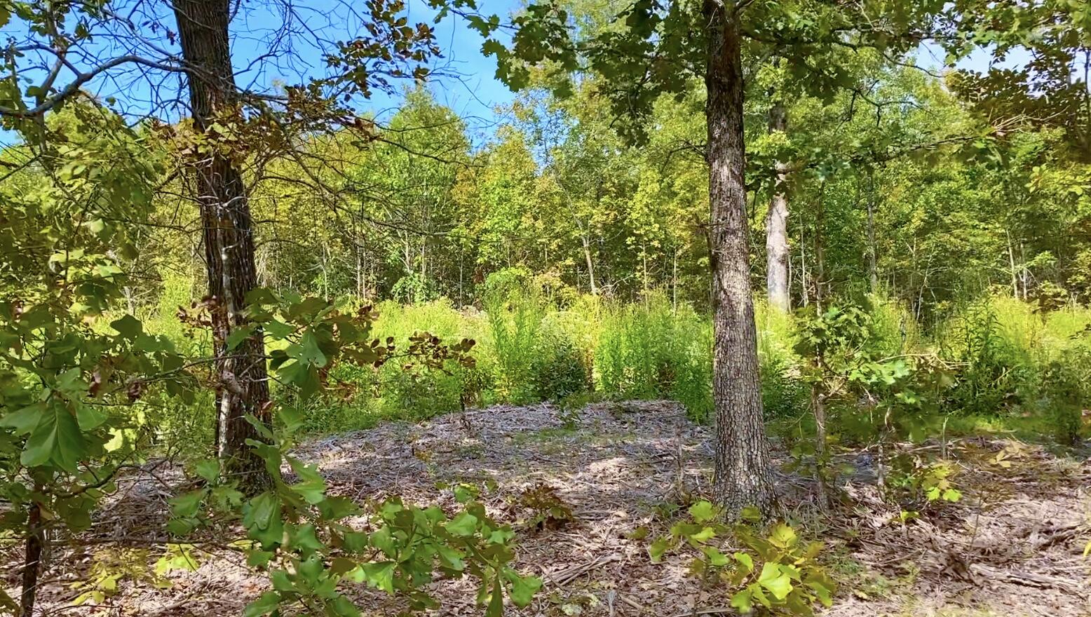 000 Db Tract 23 Property Photo 2