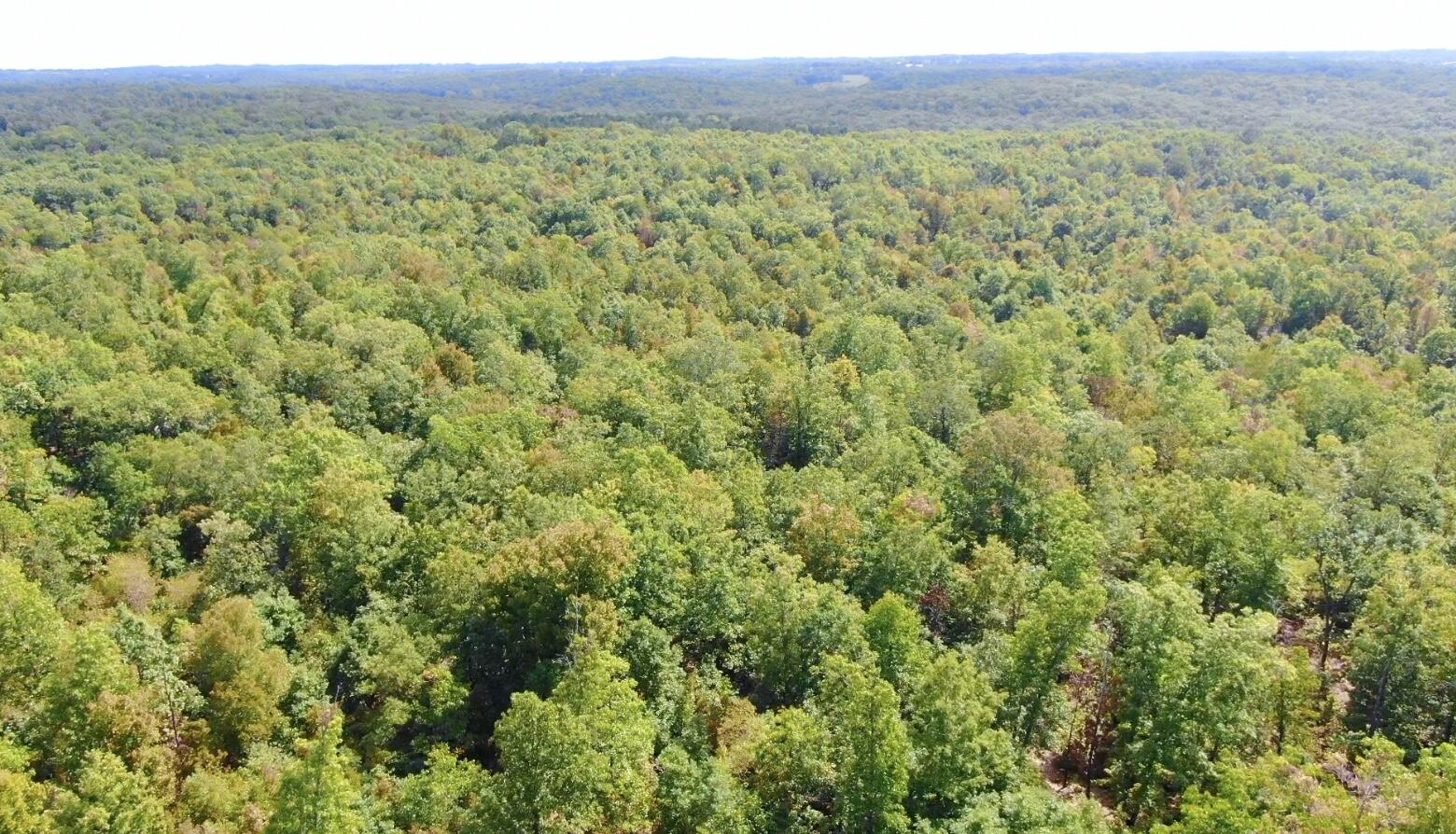 000 Db Tract 23 Property Photo 9