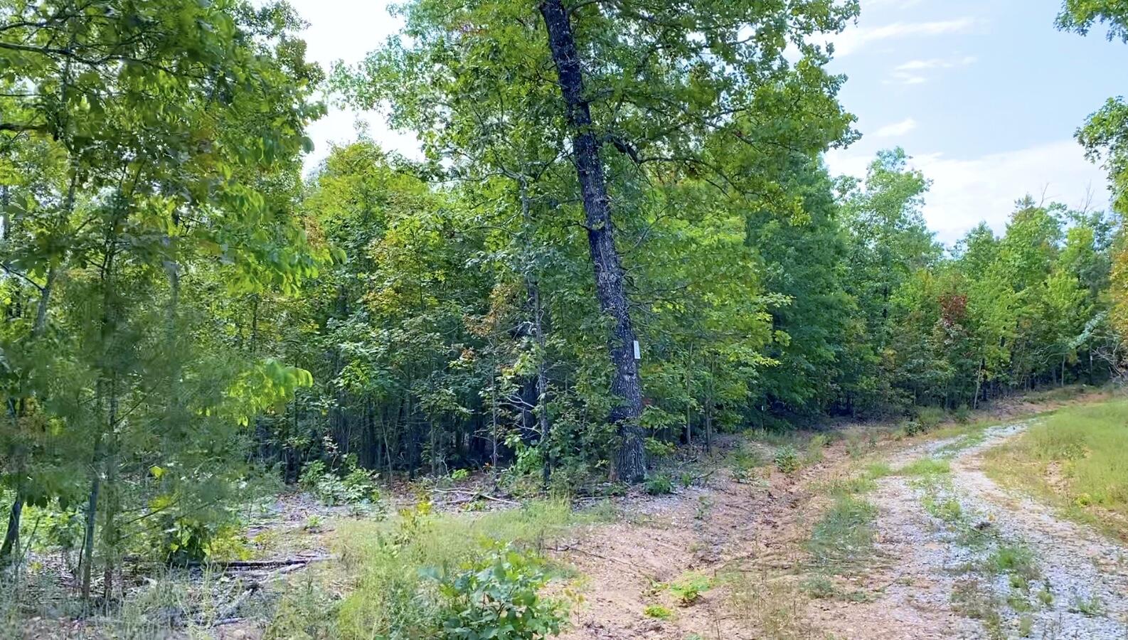 000 Db Tract 23 Property Photo 12