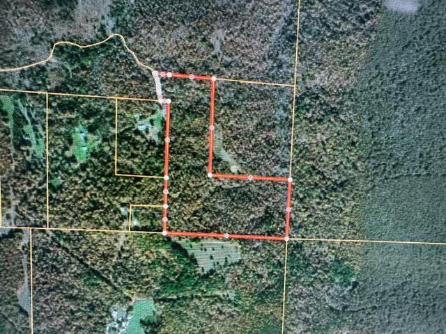 000 County Road 434 Property Photo 1