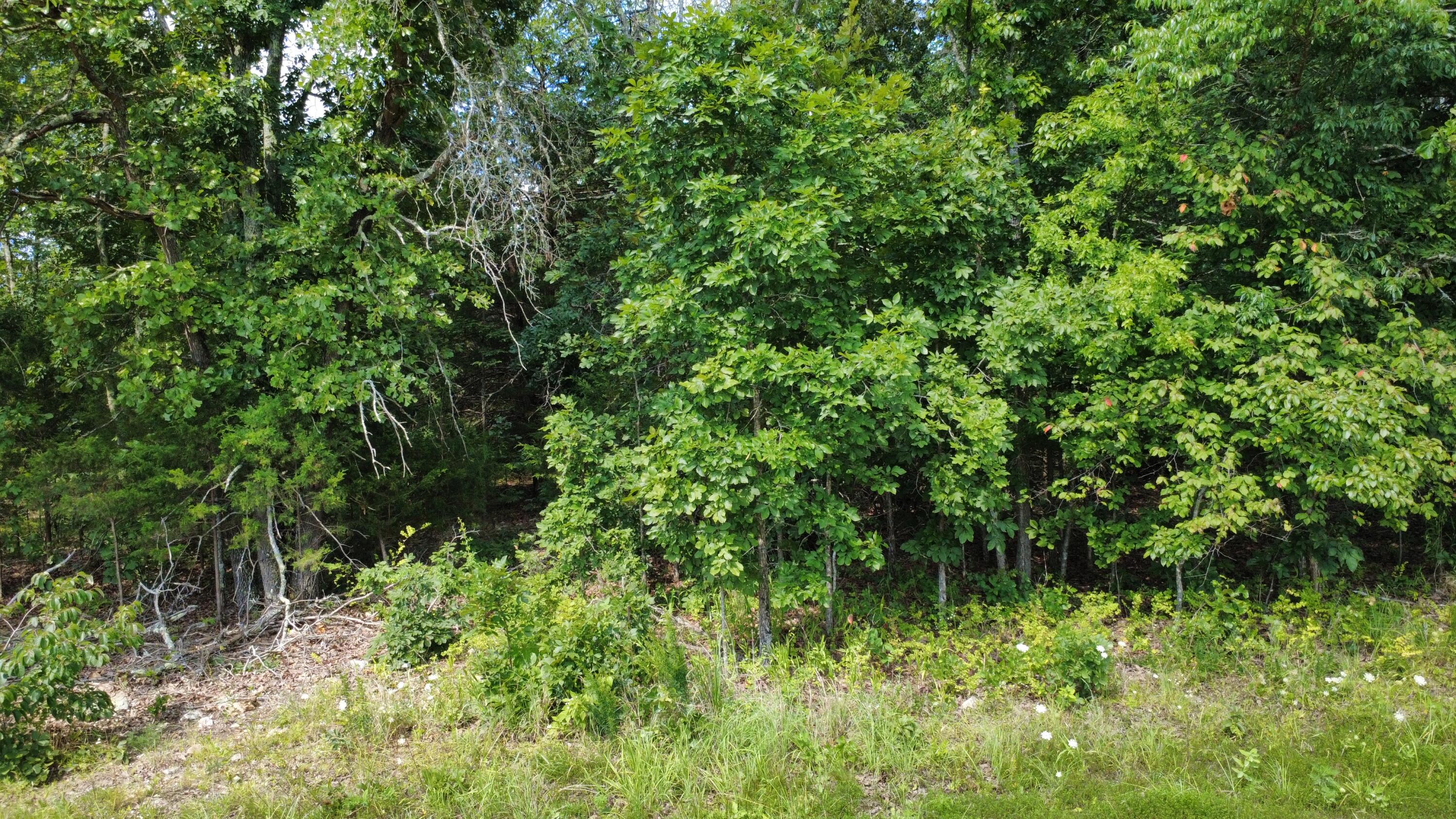 632 Private Road 421-35 Property Photo 4