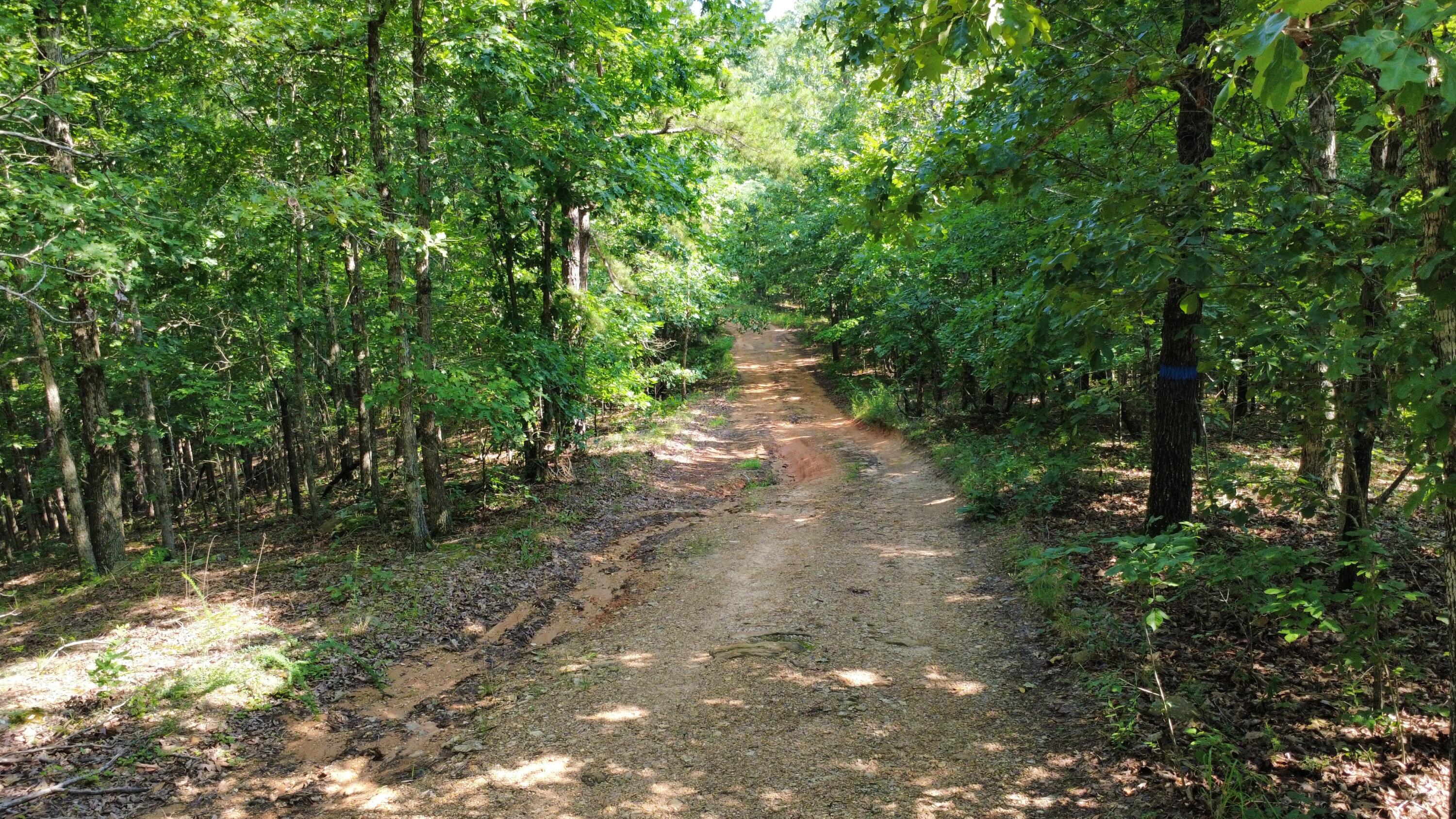 632 Private Road 421-35 Property Photo 16