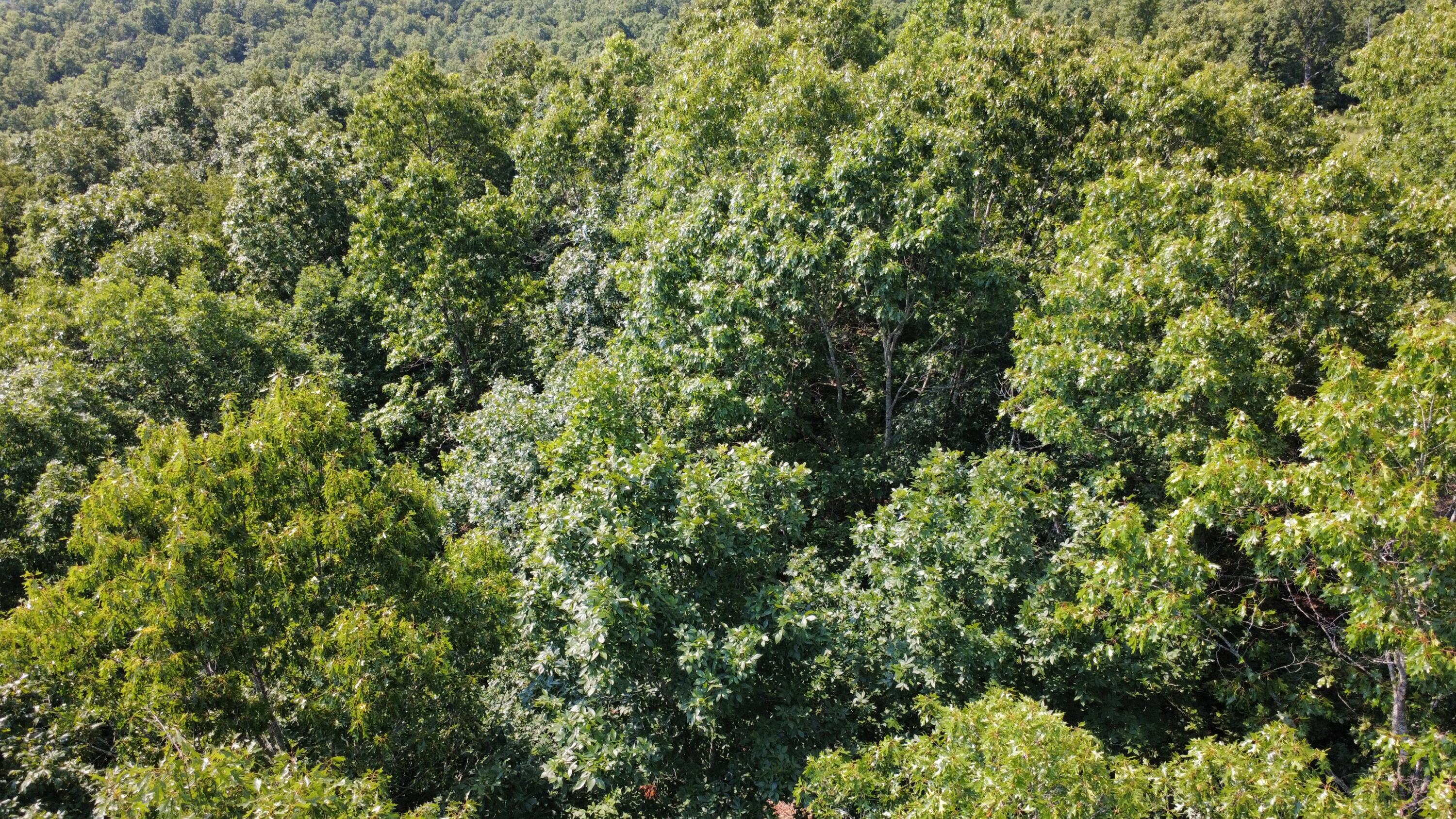 000 Private Road 421-35 Property Photo 2