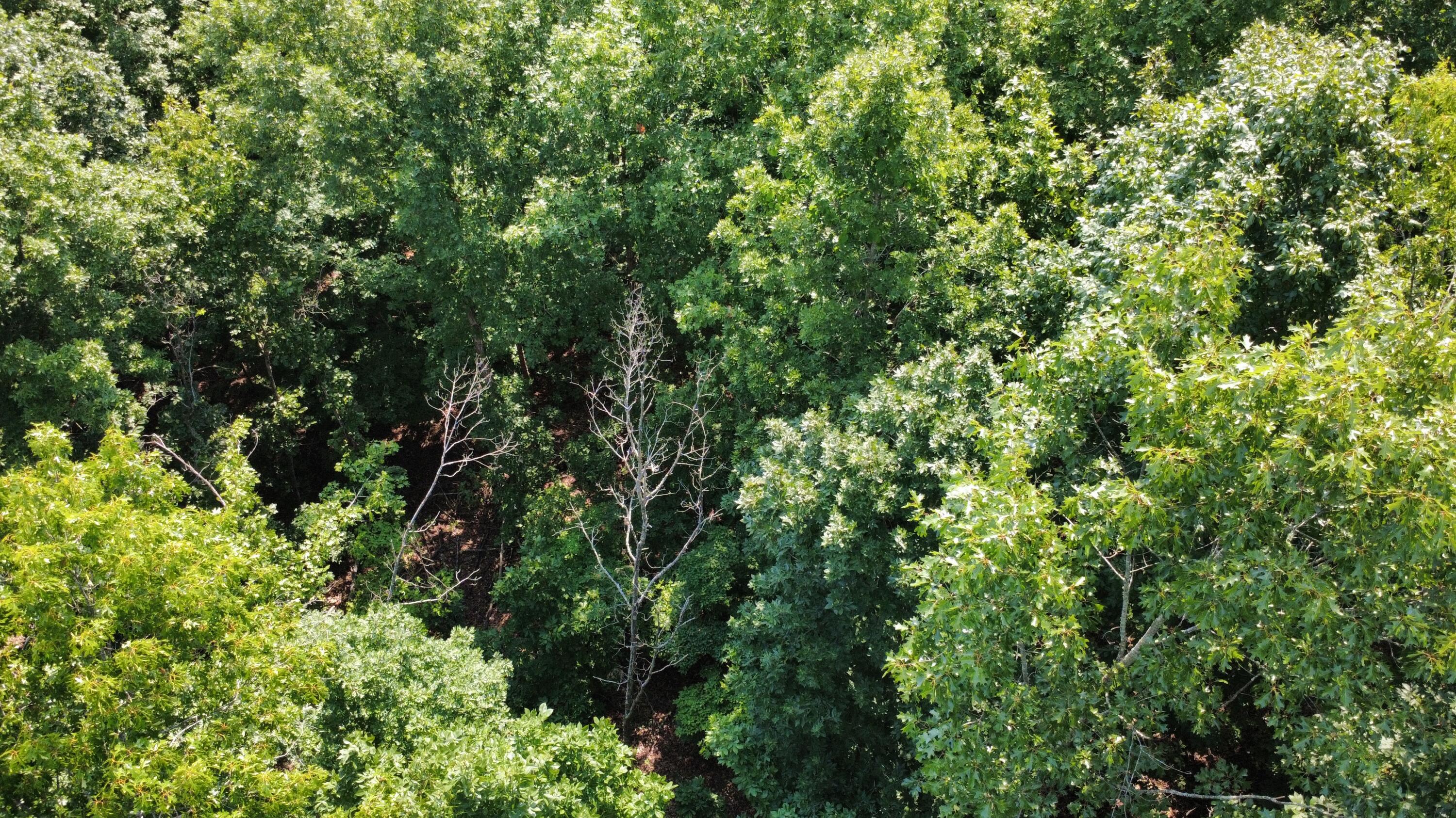 000 Private Road 421-35 Property Photo 4