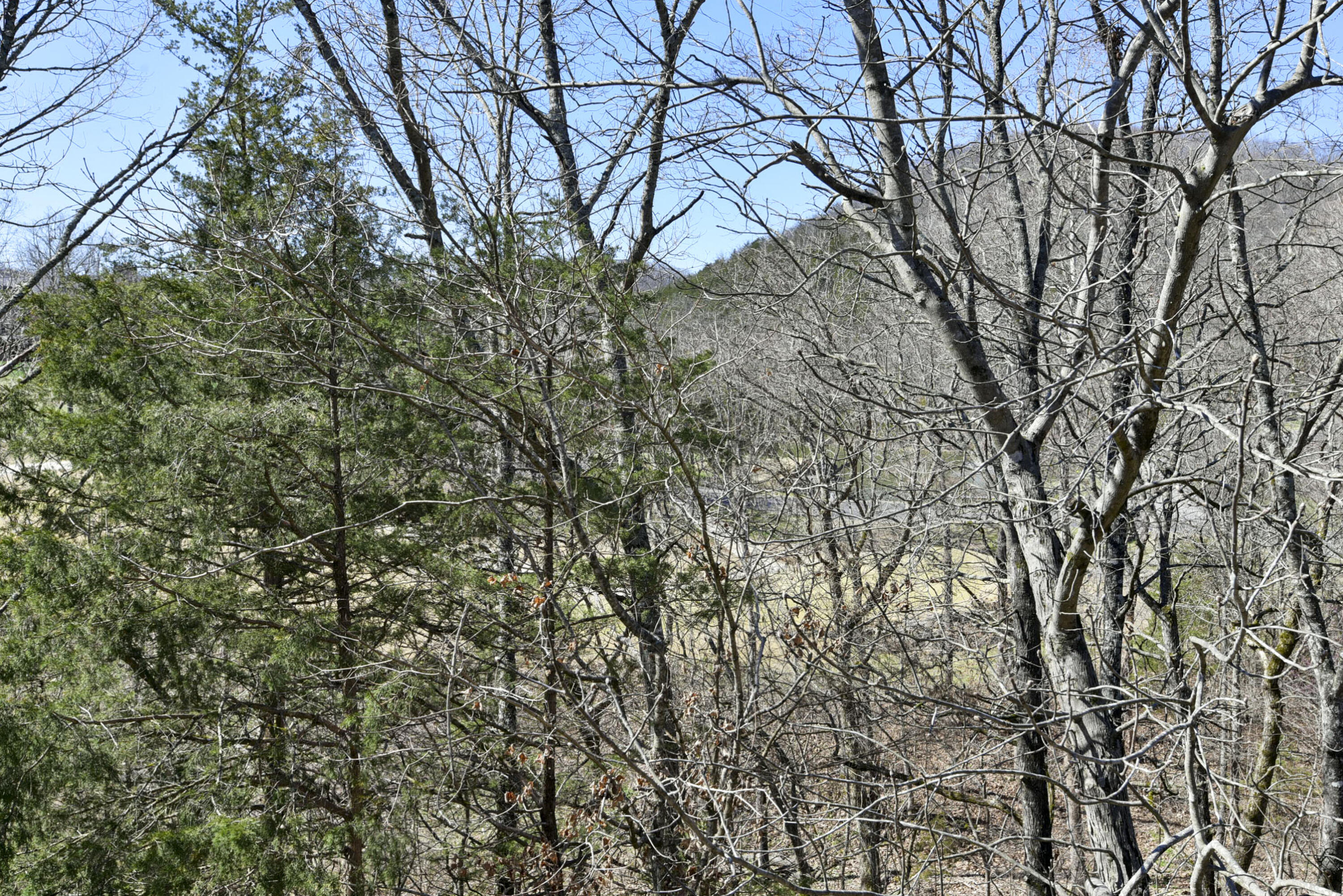 401 Silverwood Circle Property Photo 20