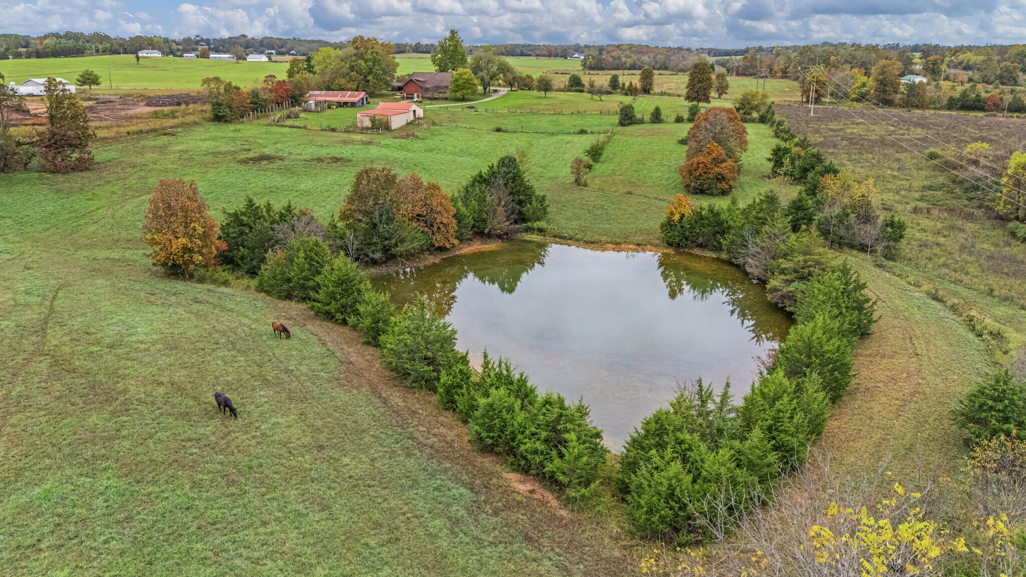 7291 State Route West Property Photo 29