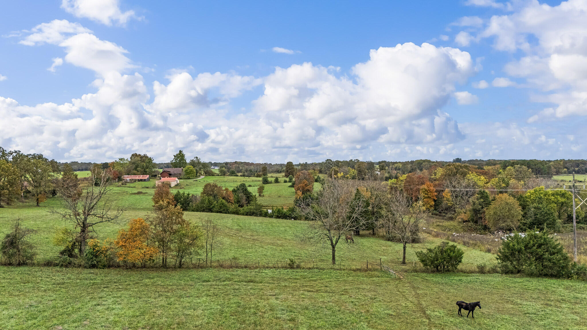 7291 State Route West Property Photo 38