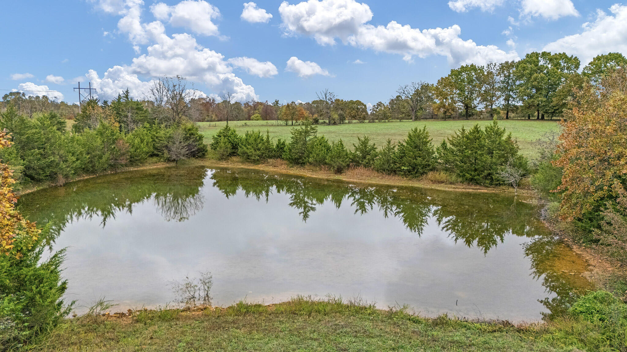 7291 State Route West Property Photo 45