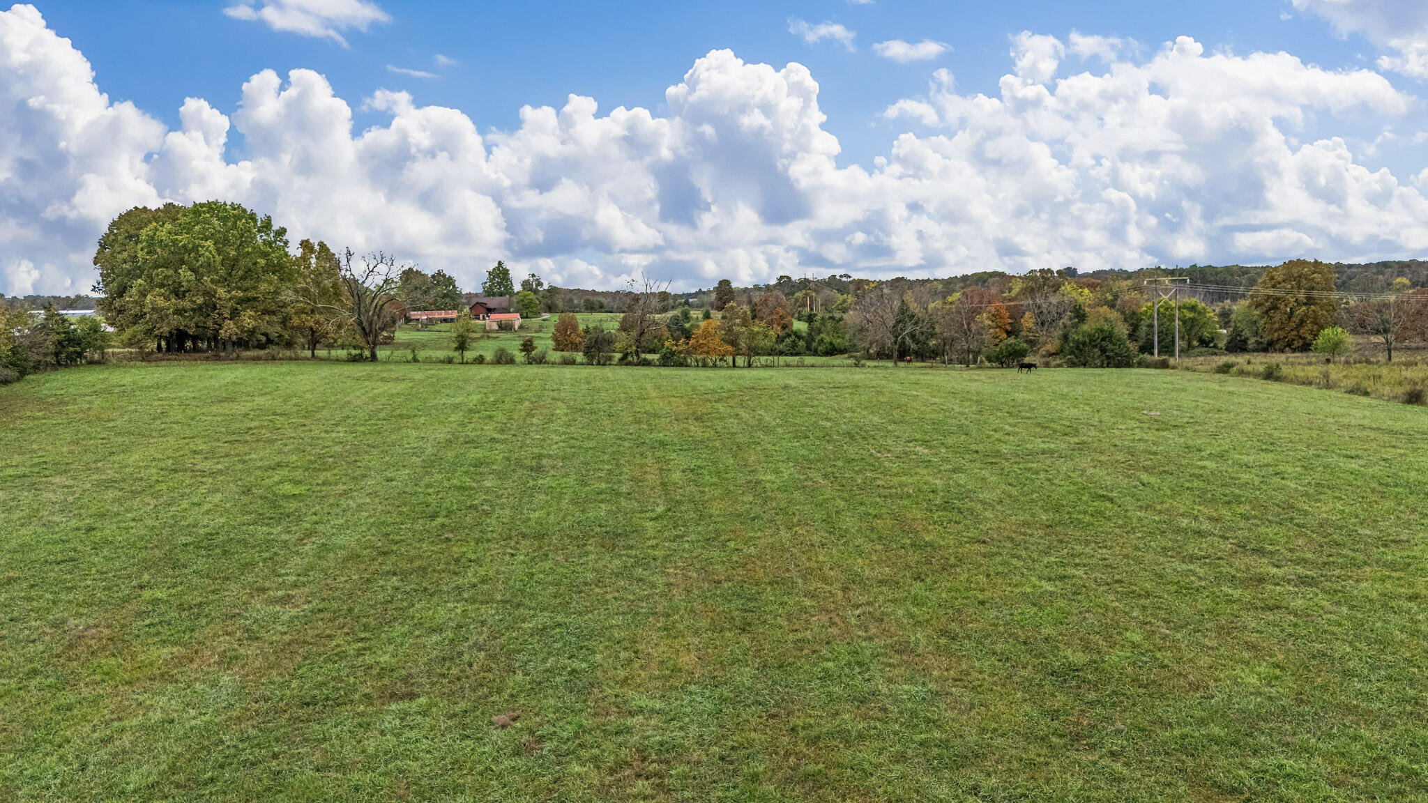 7291 State Route West Property Photo 52