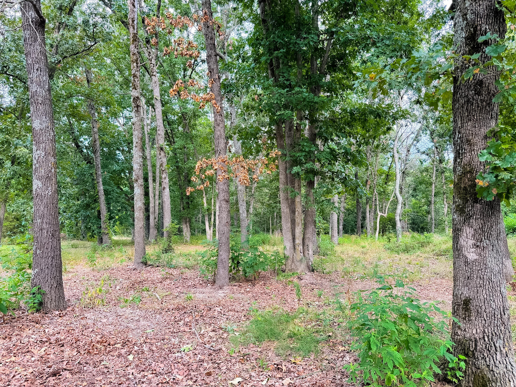 4720 State Highway 39 Property Photo 35
