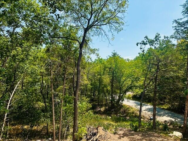 22542 Dove Drive Property Photo 3