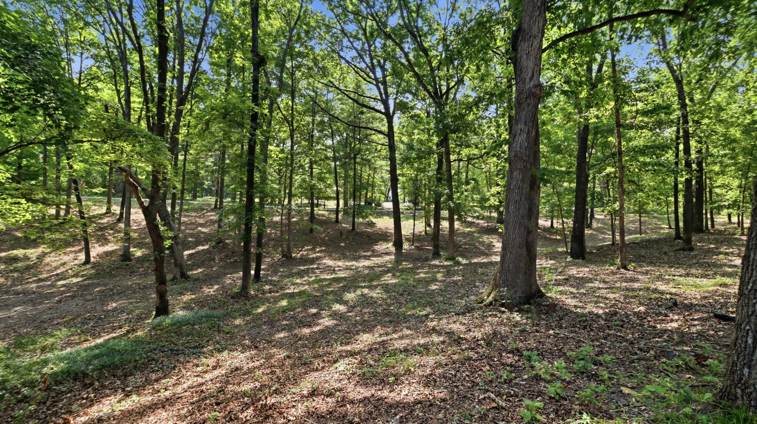 1301 County Road 6020 Property Photo 36