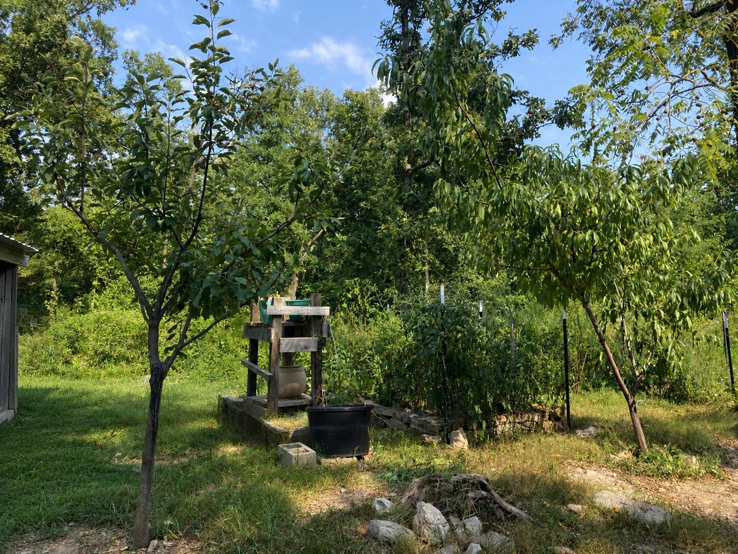 17530 Highway Y Lot M Property Photo 2