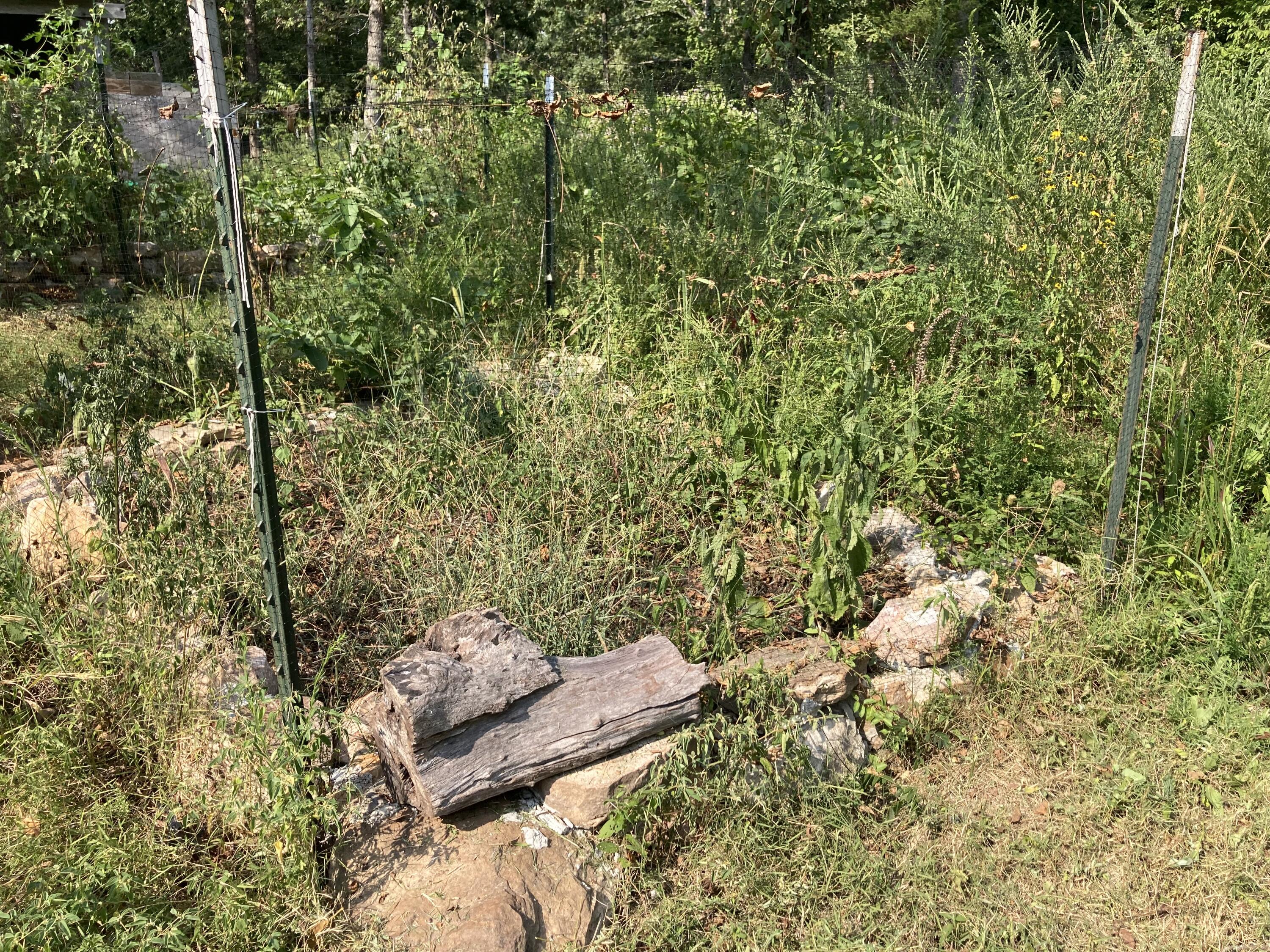17530 Highway Y Lot M Property Photo 3