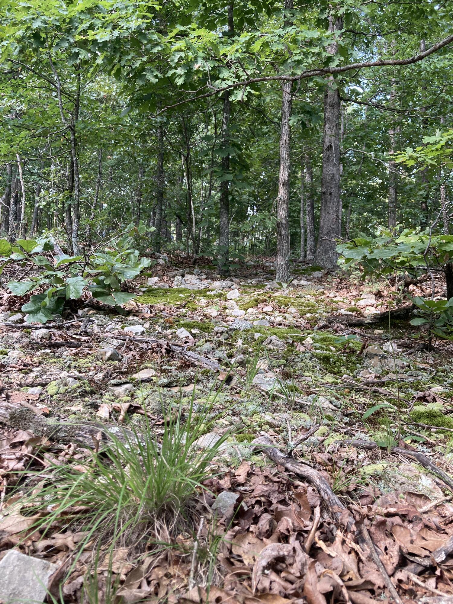 17530 Highway Y Lot M Property Photo 5