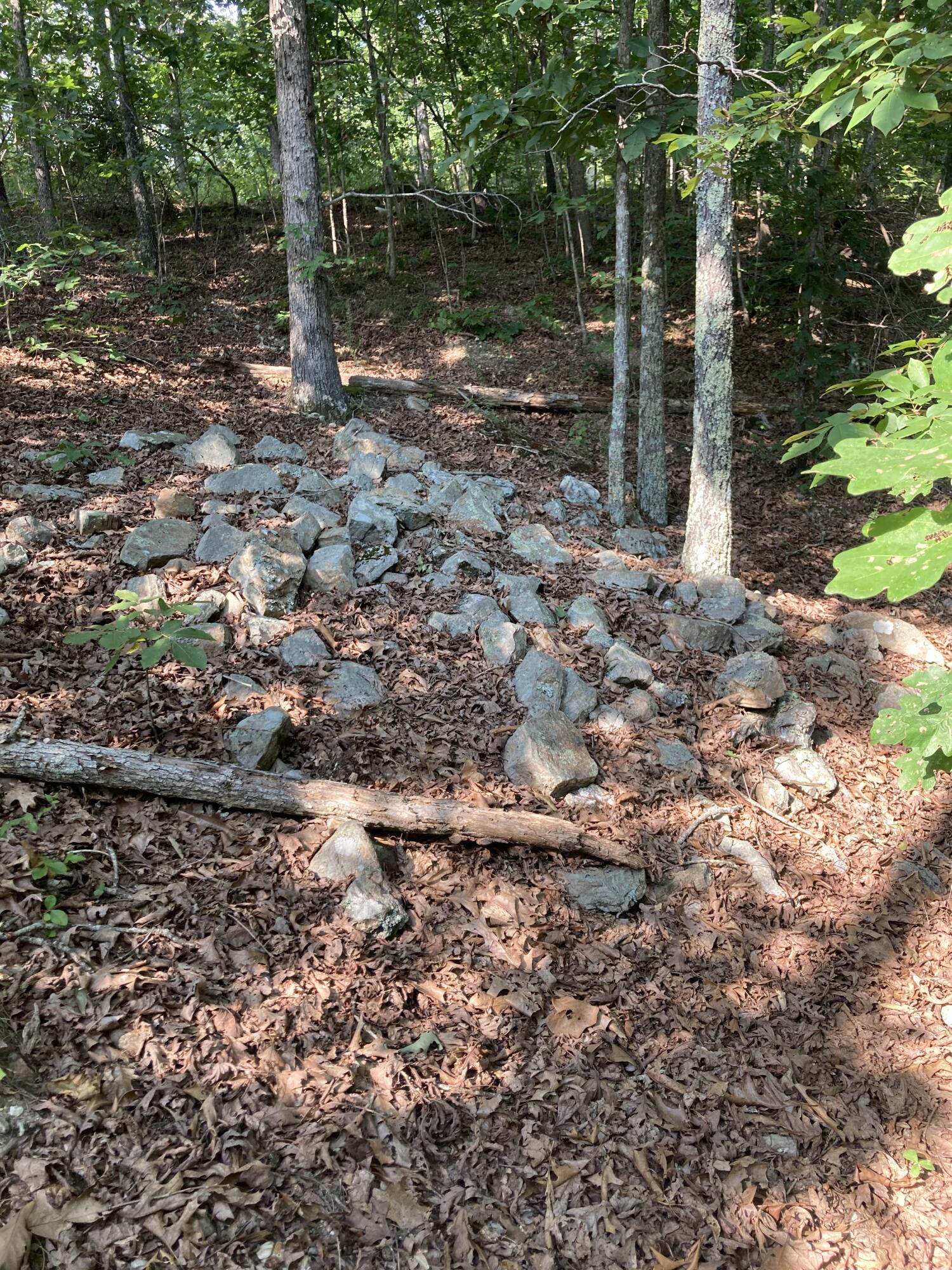 17530 Highway Y Lot M Property Photo 7