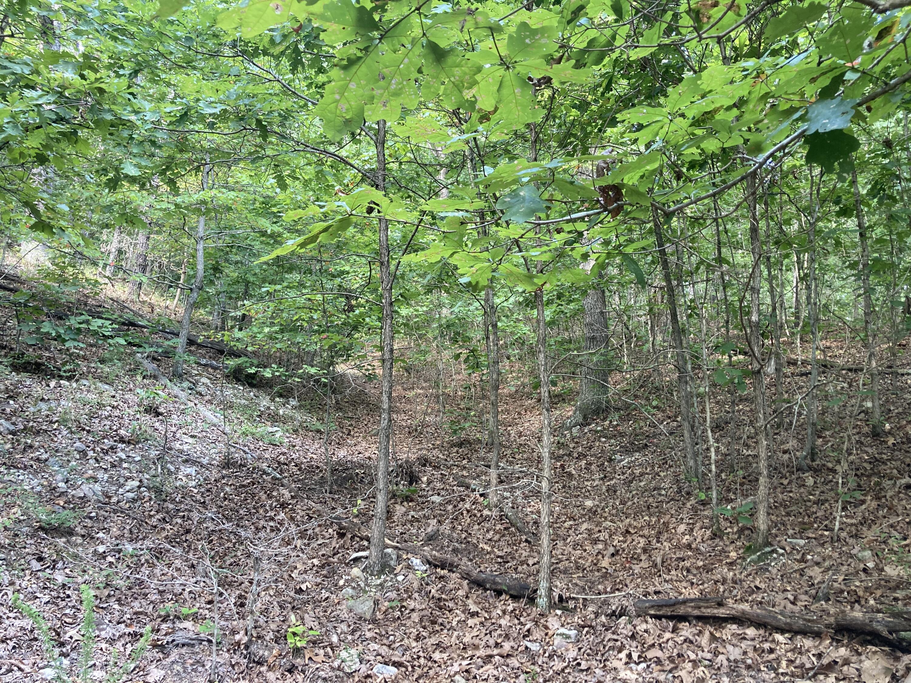 17530 Highway Y Lot M Property Photo 15