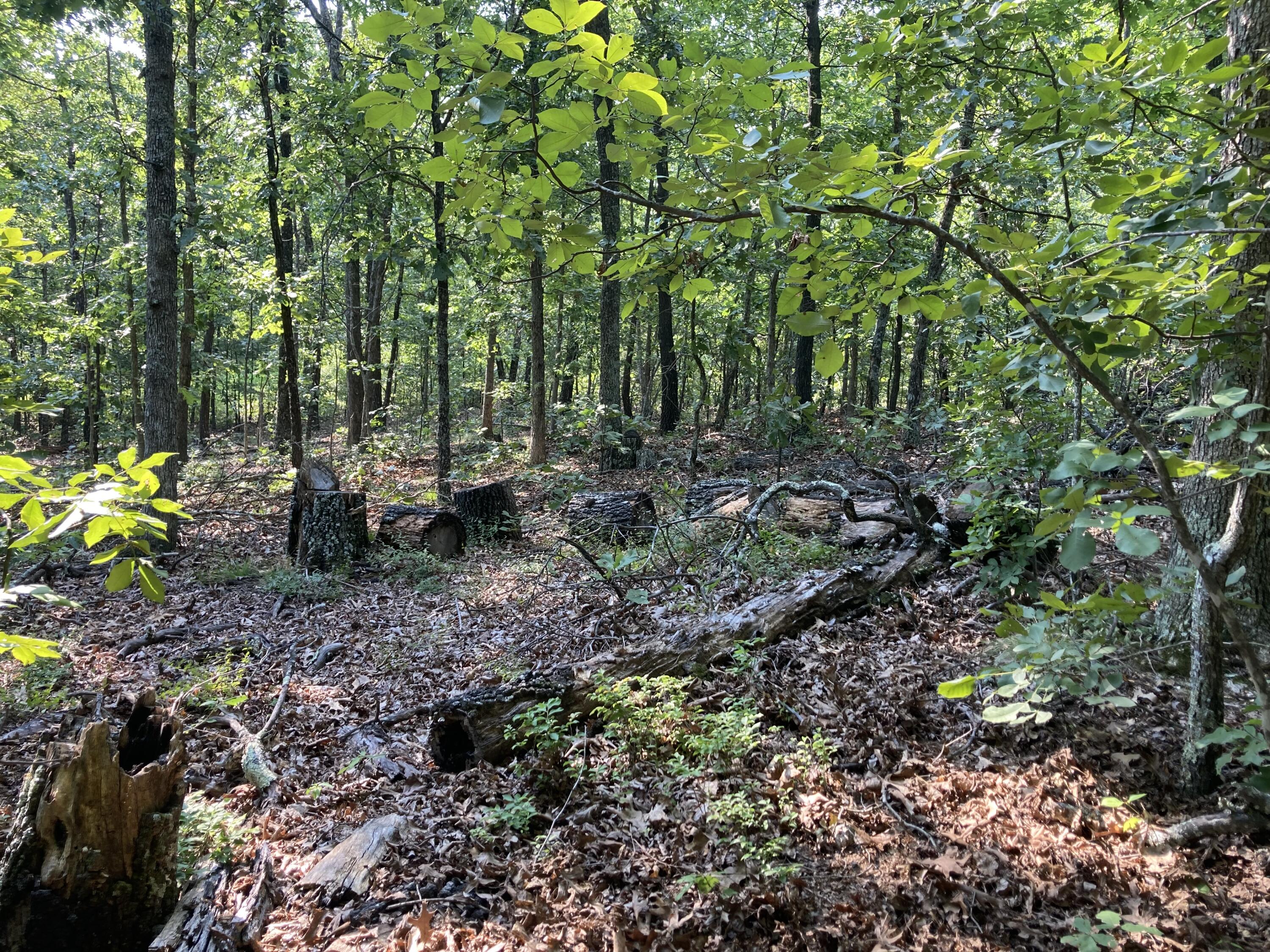 17530 Highway Y Lot M Property Photo 18