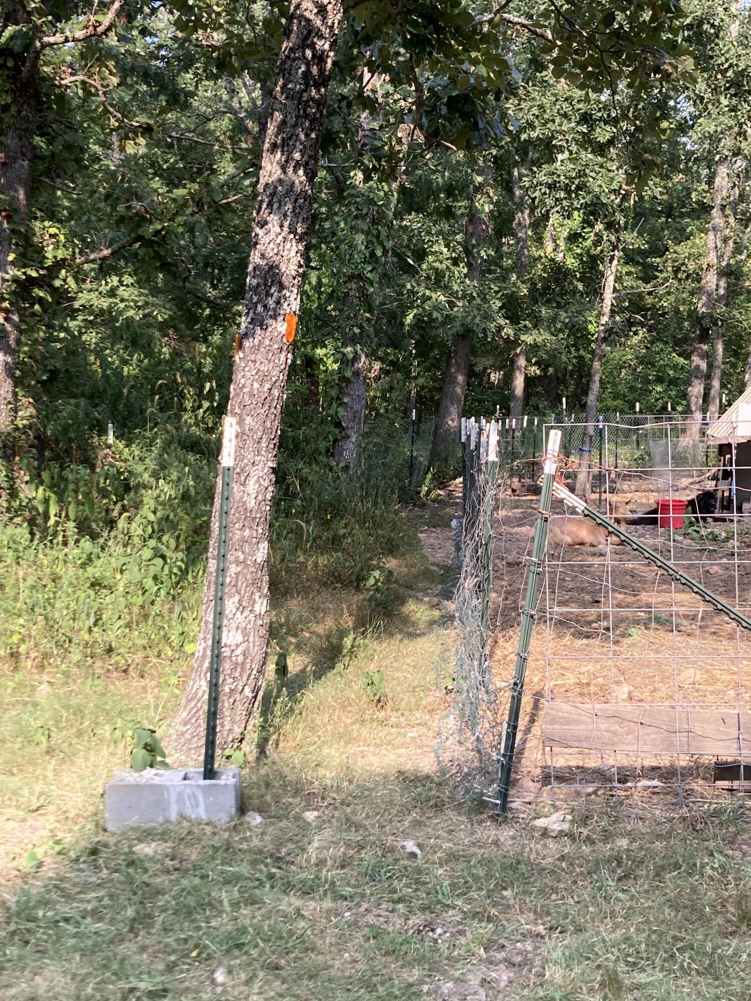 17530 Highway Y Lot M Property Photo 23