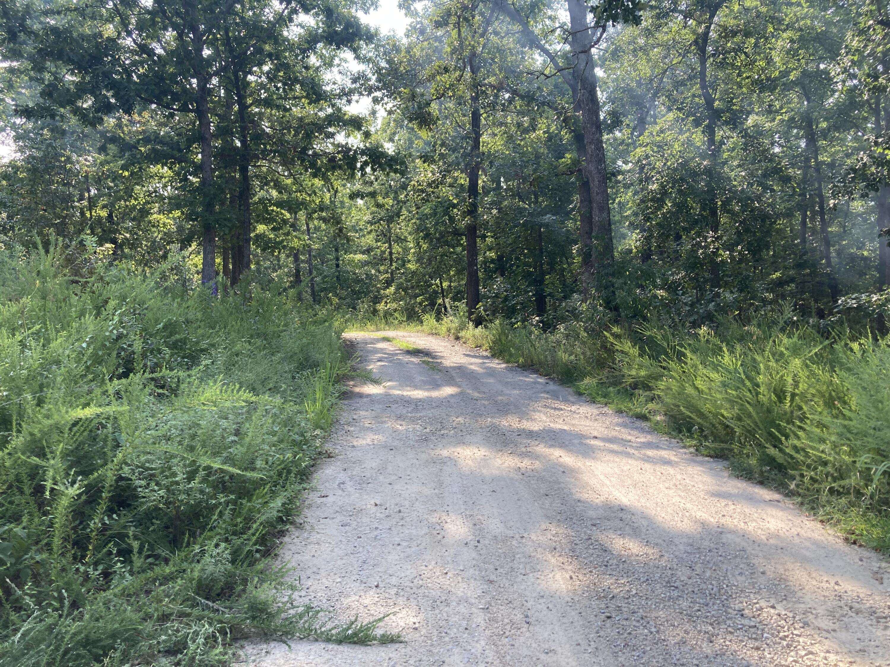 17530 Highway Y Lot M Property Photo 34