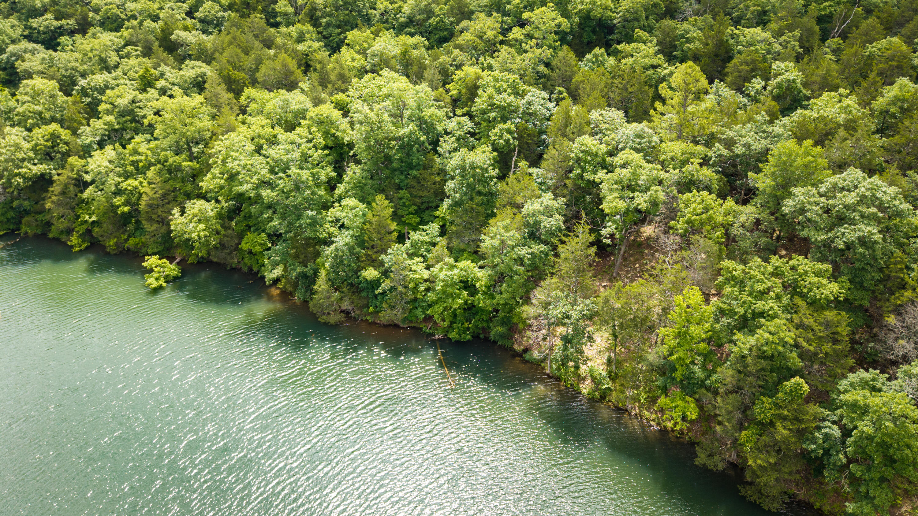 1701 Rustic Acres Road Lot 5 Property Photo 10