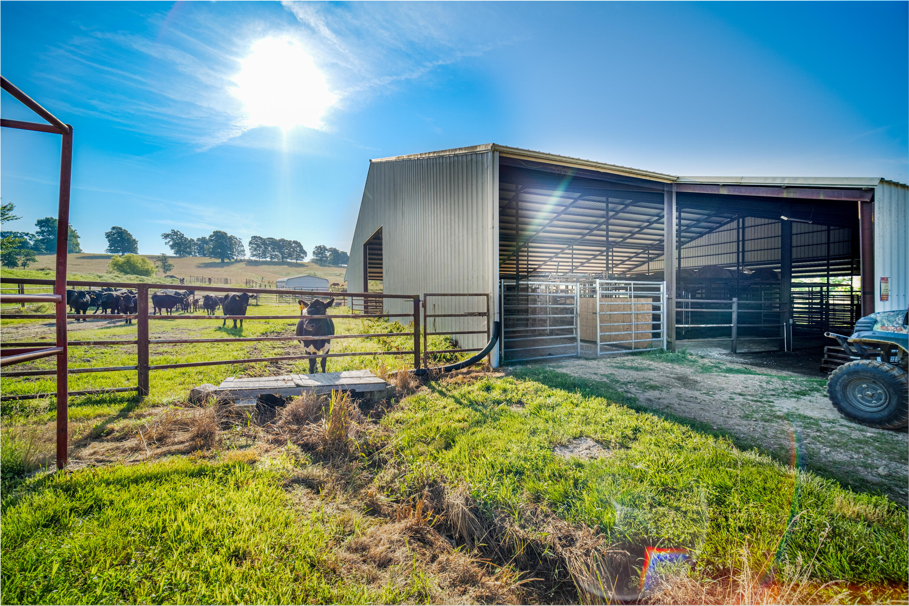 6152 County Road O-527 Property Photo 44