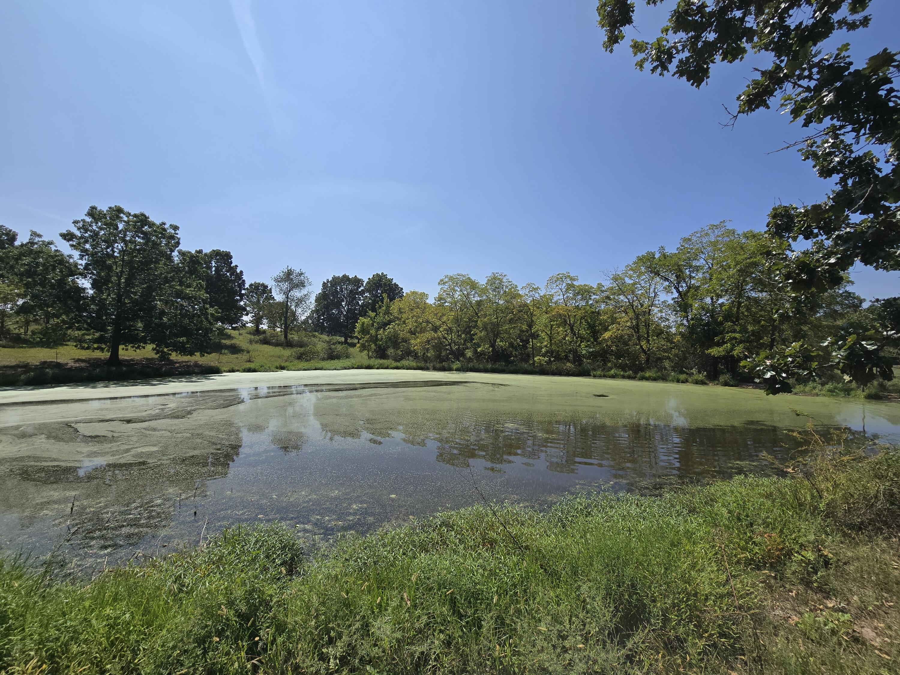 24770 Juniper Road Property Photo 2