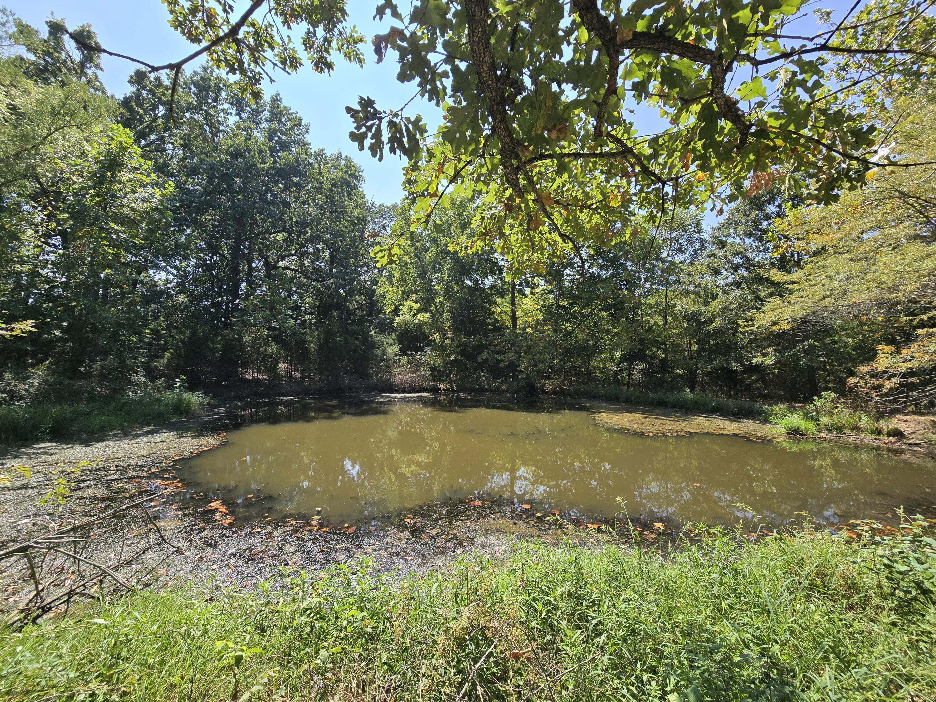 24770 Juniper Road Property Photo 7