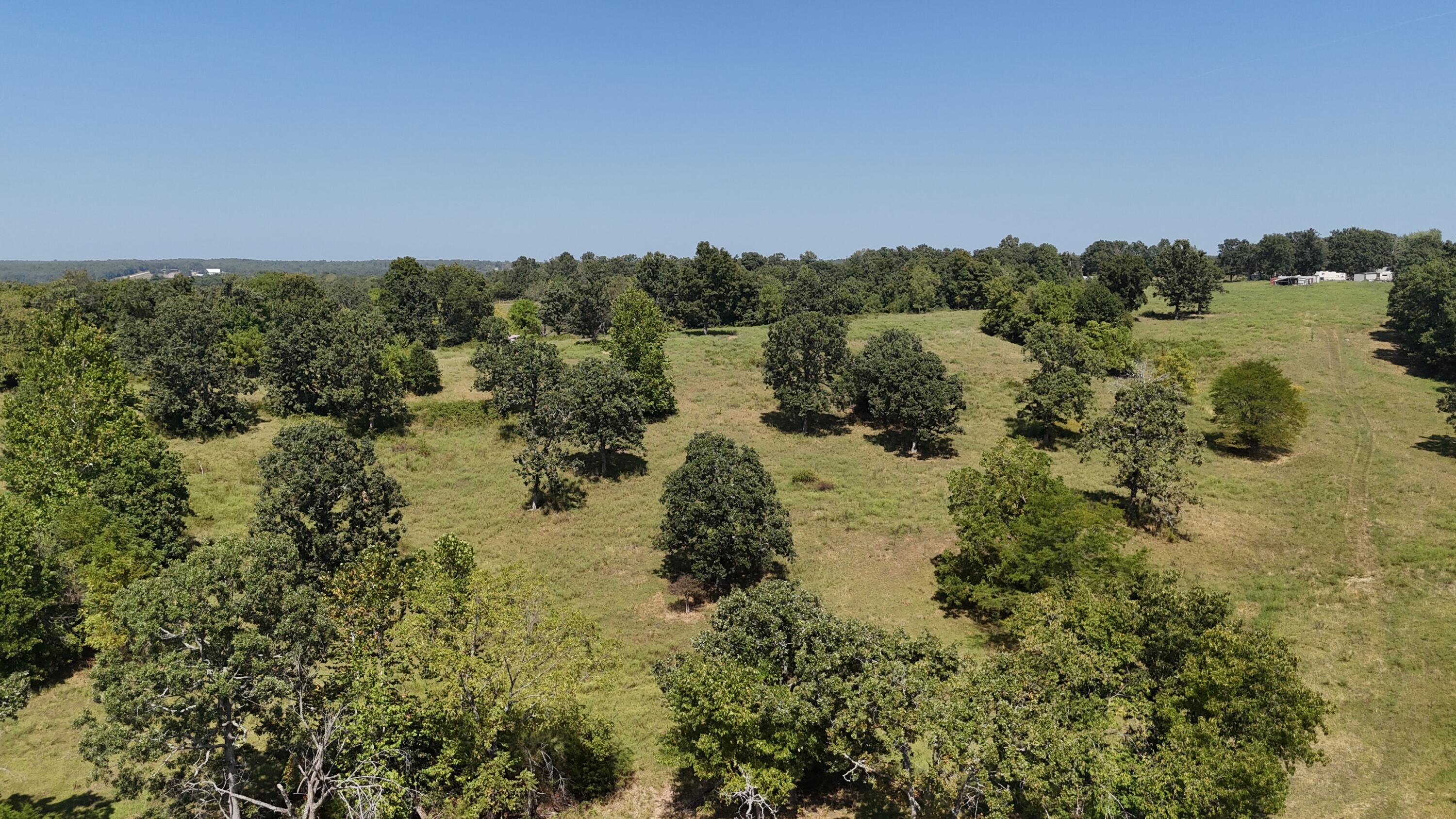 24770 Juniper Road Property Photo 10