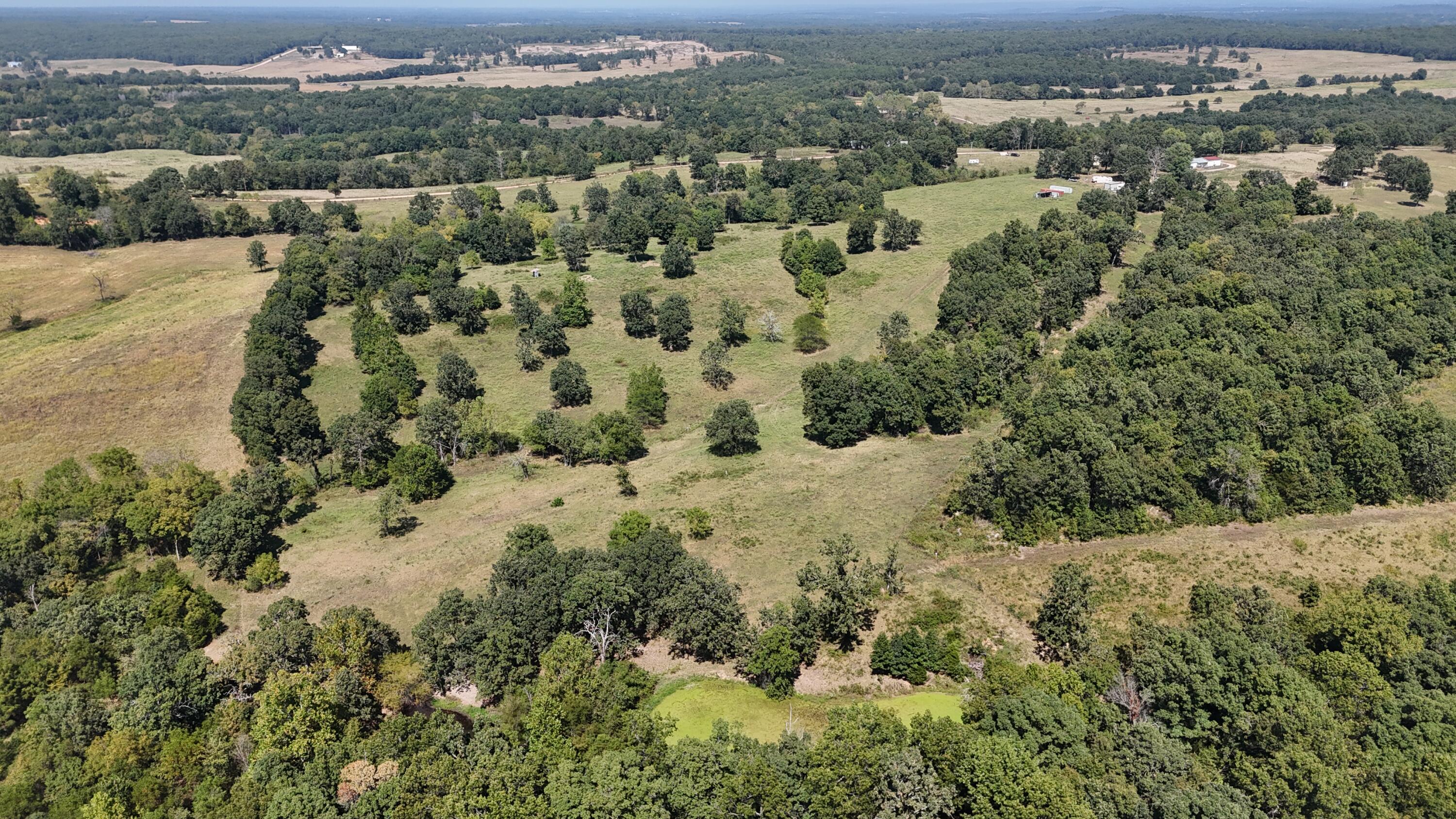 24770 Juniper Road Property Photo 20