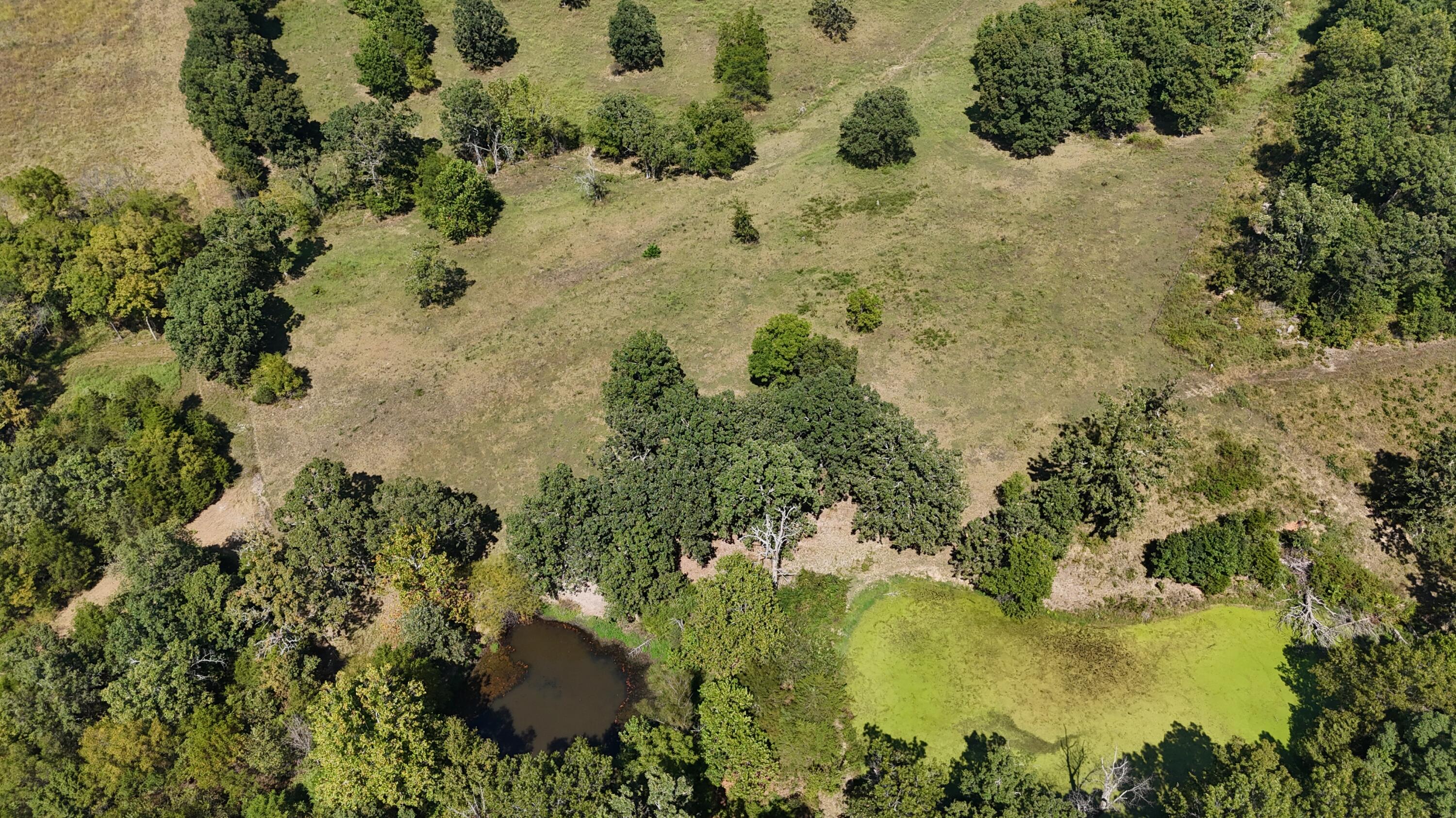 24770 Juniper Road Property Photo 22