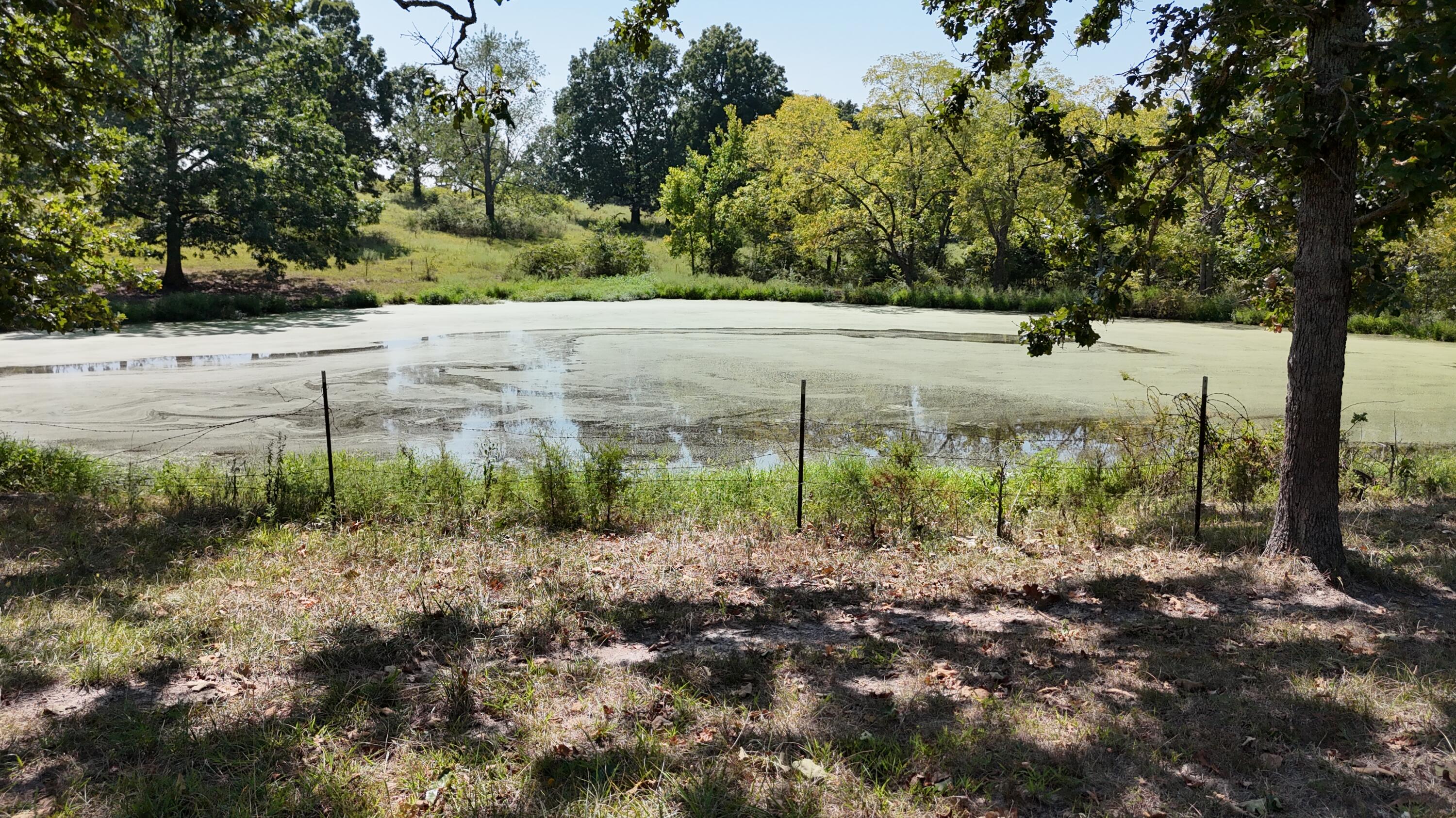 24770 Juniper Road Property Photo 23