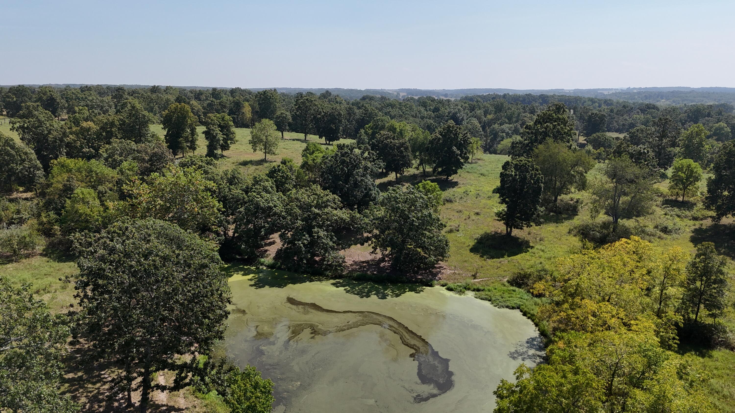 24770 Juniper Road Property Photo 25