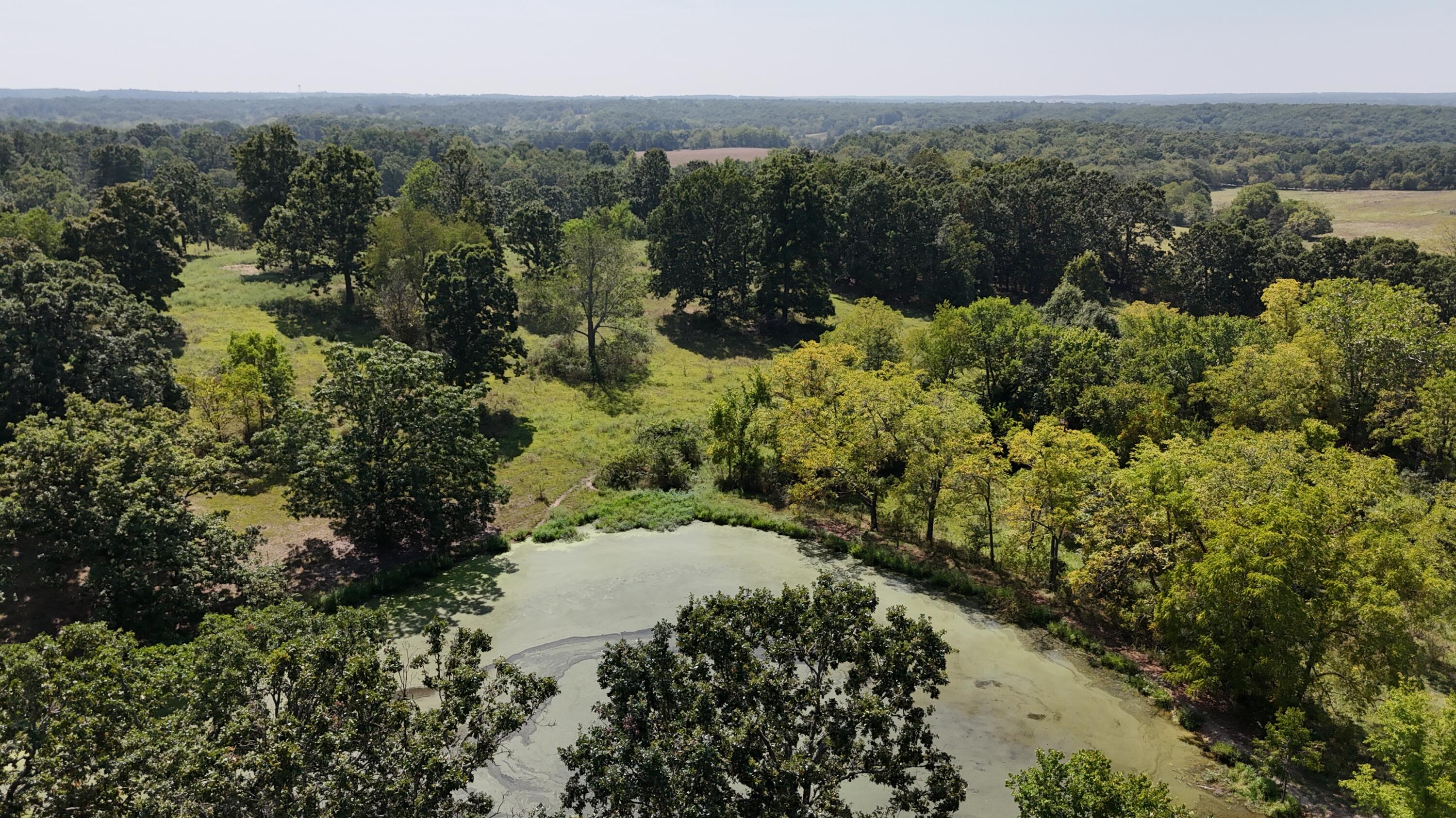 24770 Juniper Road Property Photo 28