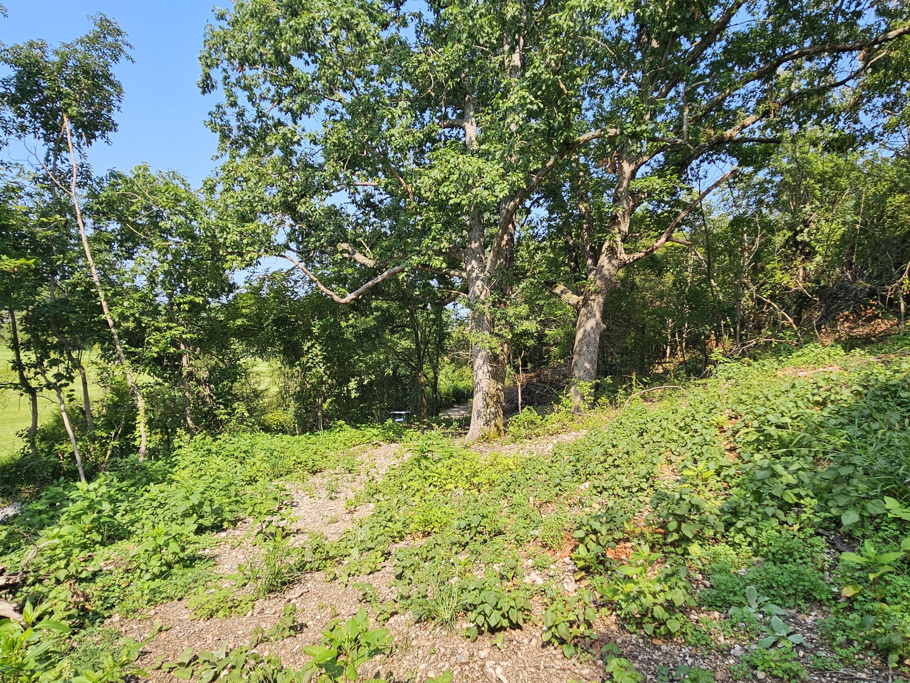 000 Mclean Road Property Photo 4