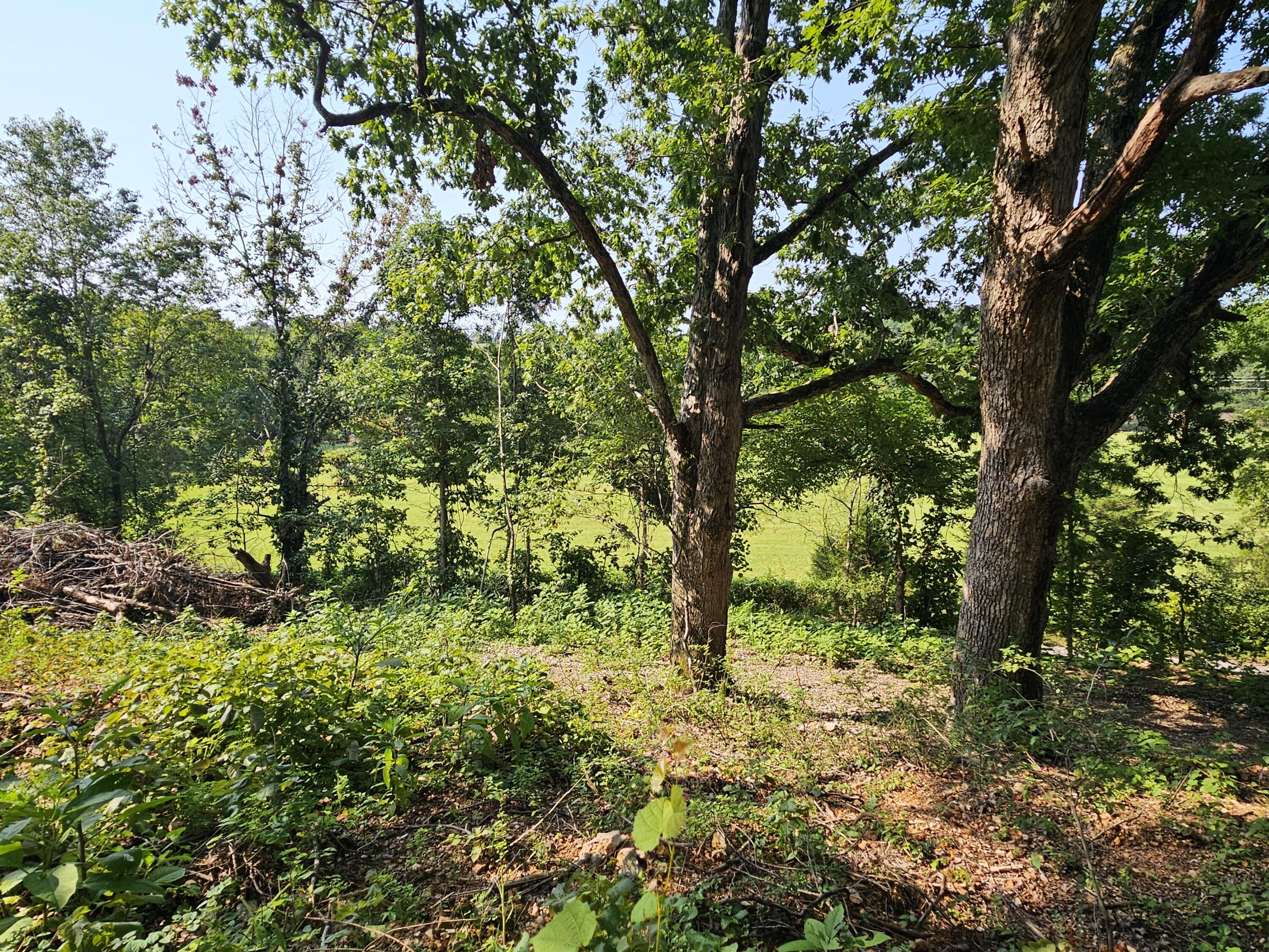 000 Mclean Road Property Photo 8
