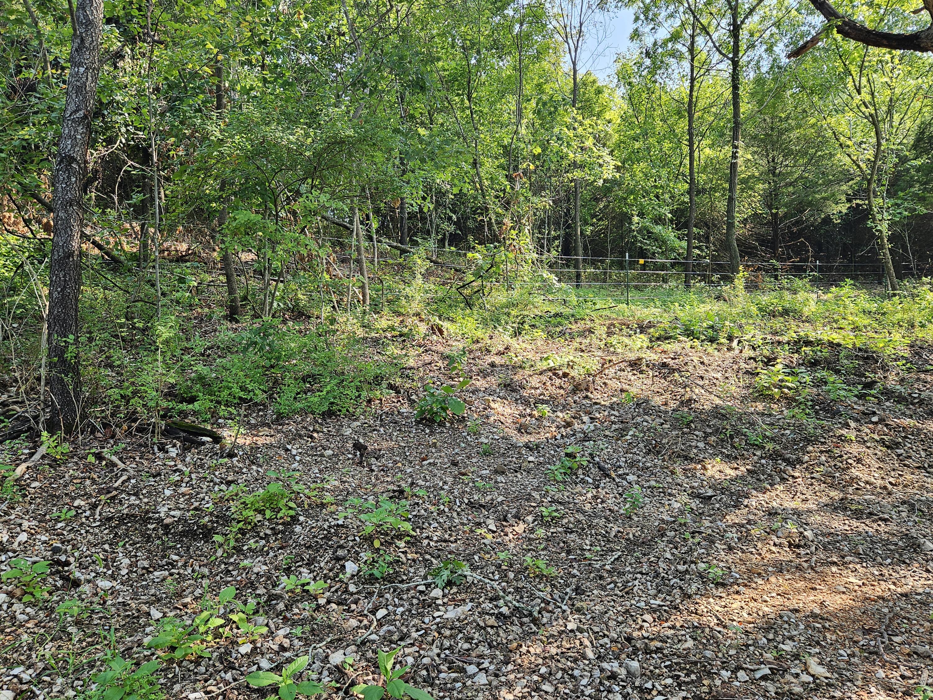 000 Mclean Road Property Photo 11