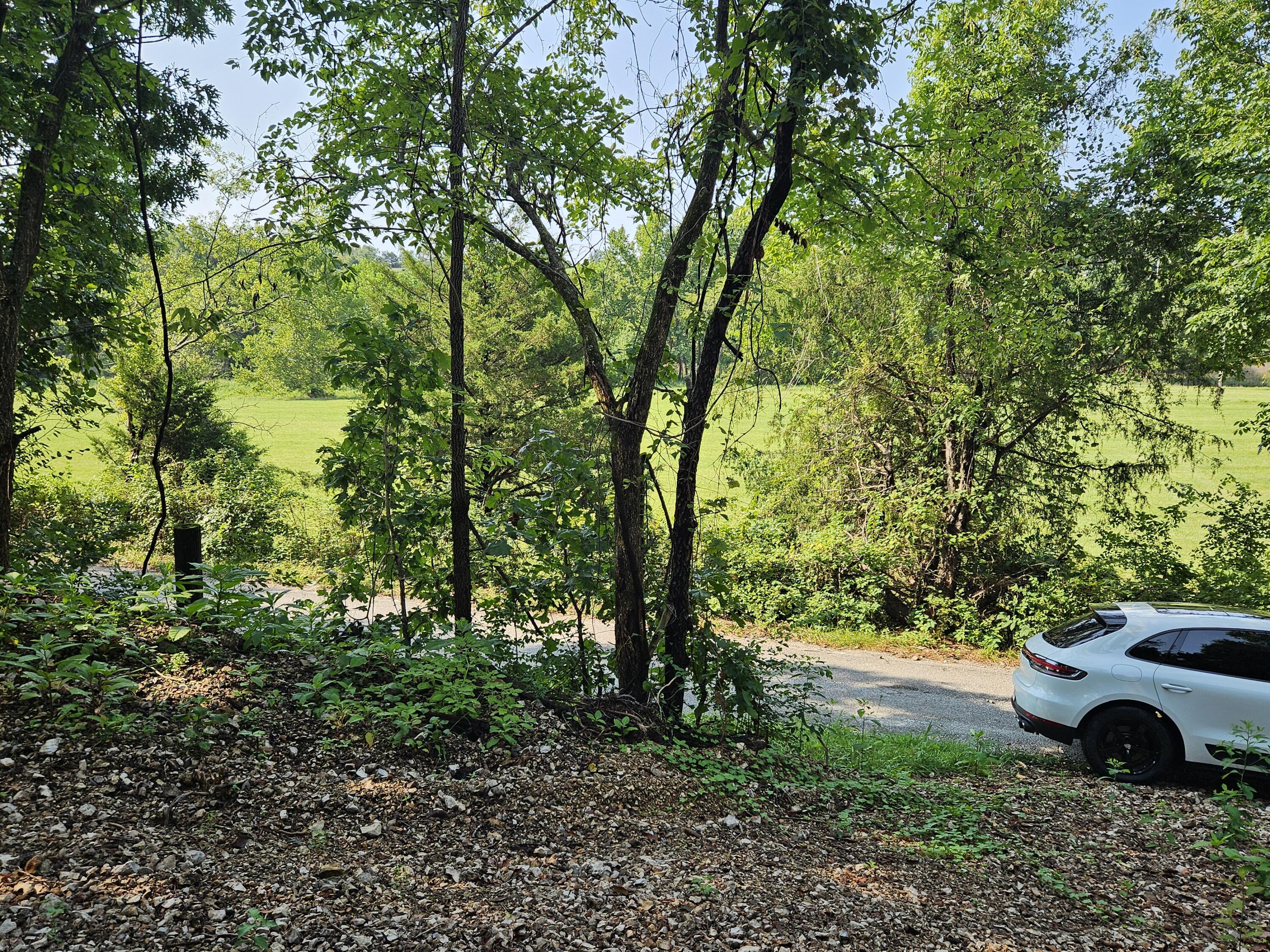 000 Mclean Road Property Photo 14