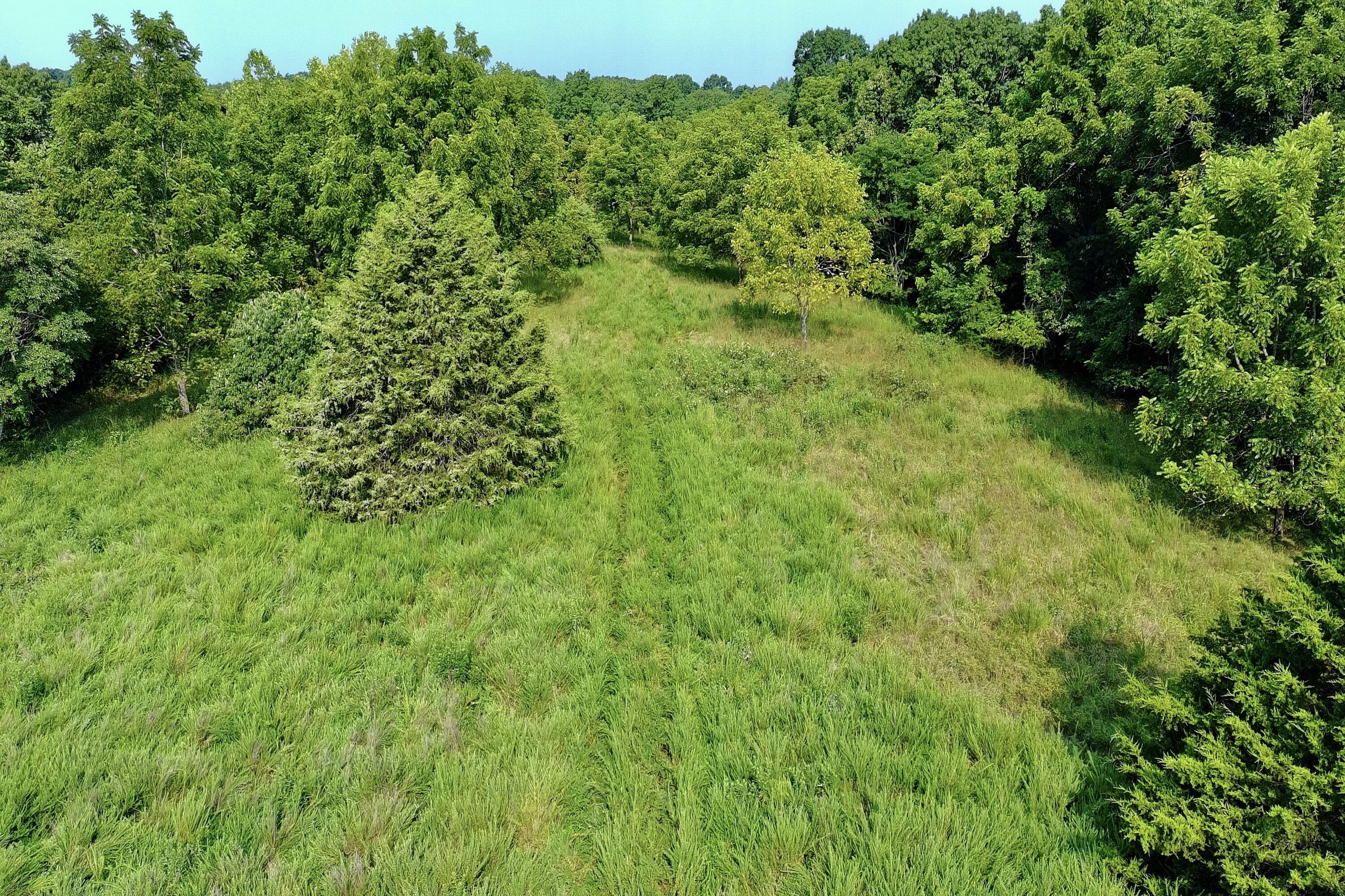000 Red Bridge Rd Property Photo 11