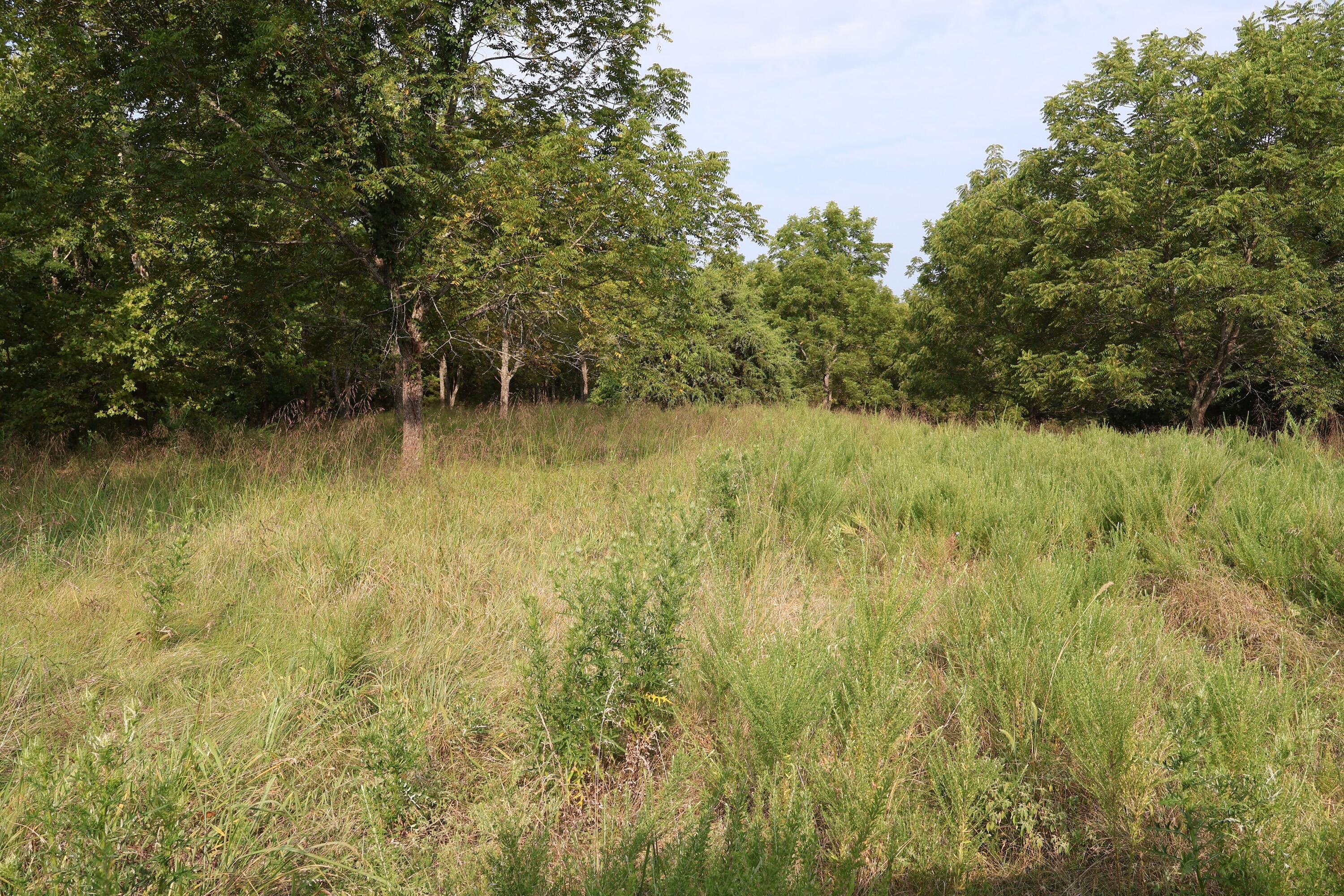 000 Red Bridge Rd Property Photo 16